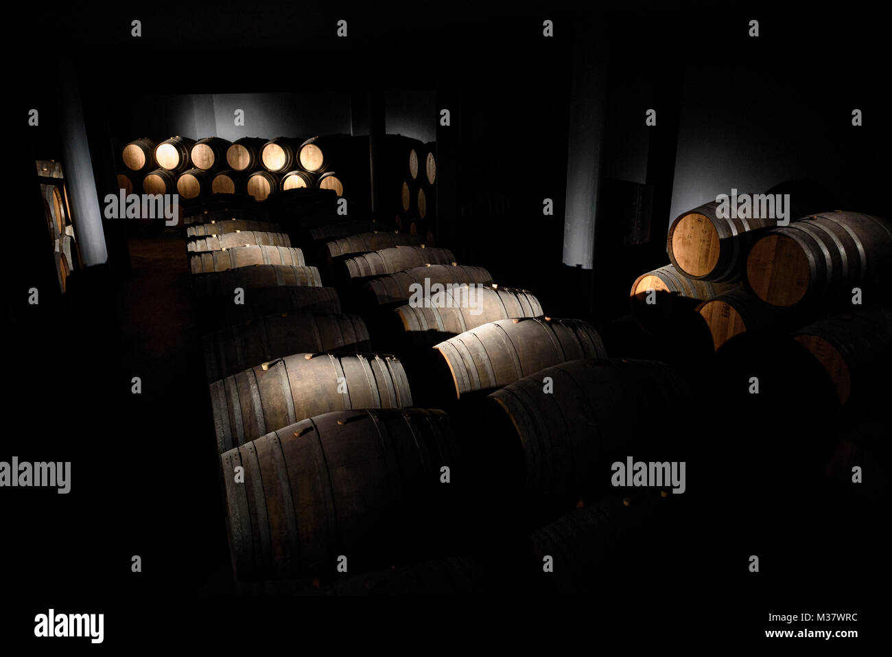 Cave à vin Sandeman au Quinta do Seixo, musée de la rivière Douro, Portugal région vallery, Europe Banque D'Images