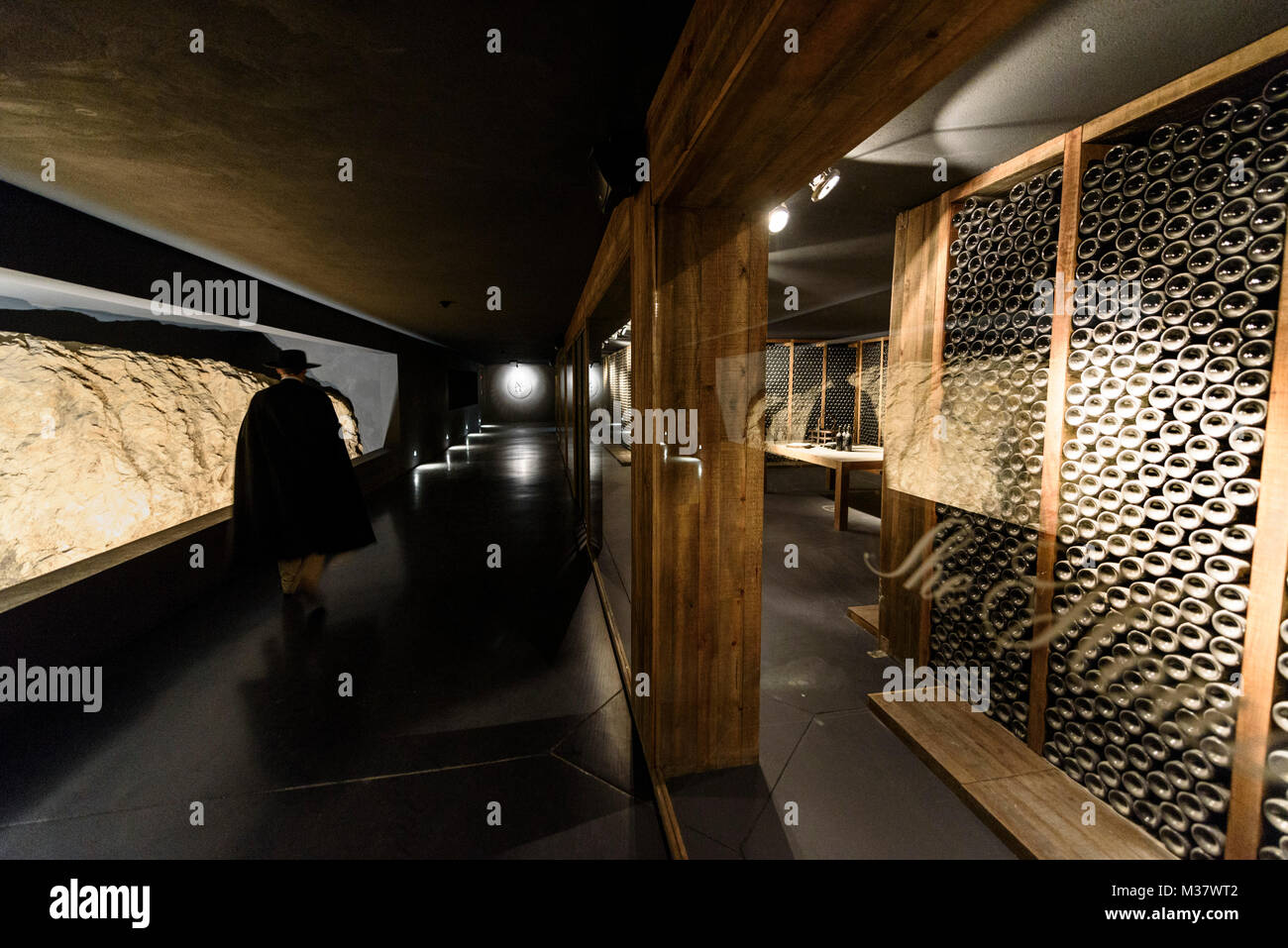 Cave à vin Sandeman au Quinta do Seixo, musée de la rivière Douro, Portugal région vallery, Europe Banque D'Images