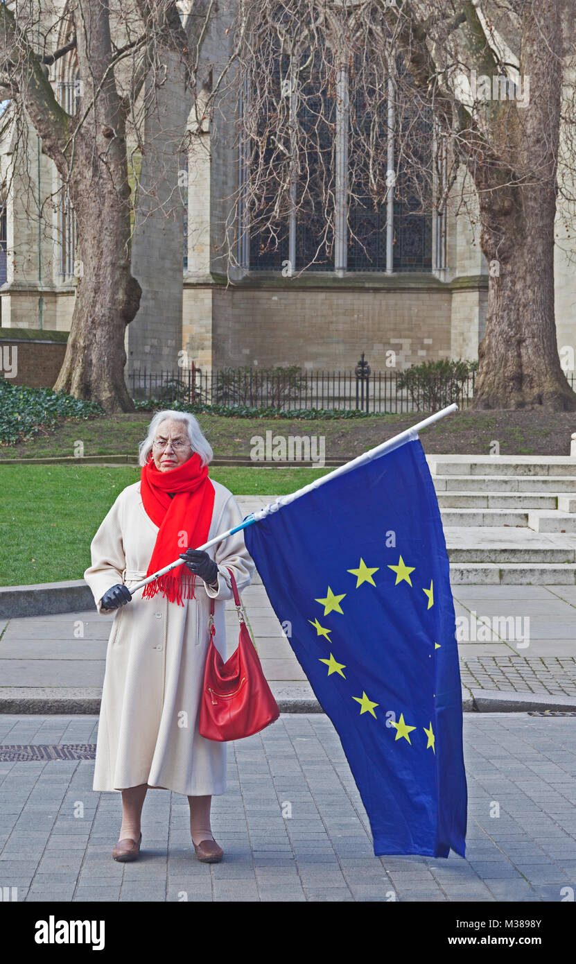 Londres, Westminster UN Brexit activiste de la campagne Stop à la recherche de soutien dans la région de Old Palace Yard Banque D'Images