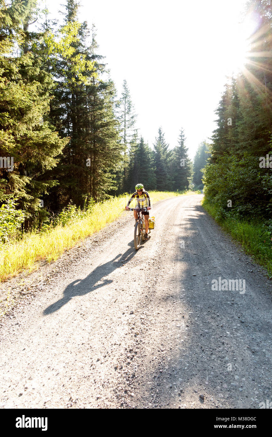 BC00653-00...MONTANA - Vicky printemps commence la montée sur la route forestière 115 Rouge à col des Prés le long de la Great Divide en vélo de montagne. Banque D'Images