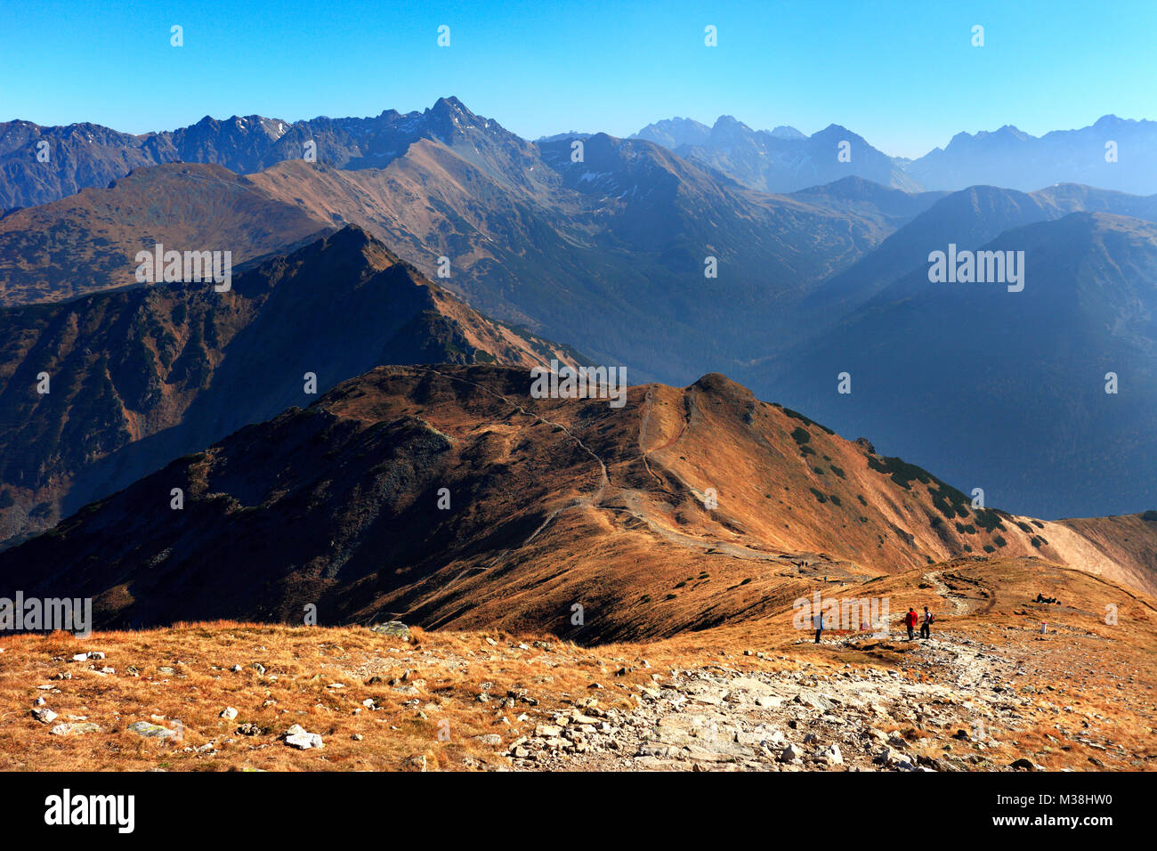 La Pologne, Tatras, Zakopane - passer sous Kopa Kondracka, Goryczkowa Czuba, Zolta Turnia, Swinica et Walentkowy avec pics Wierch Zdiar dans Banque D'Images