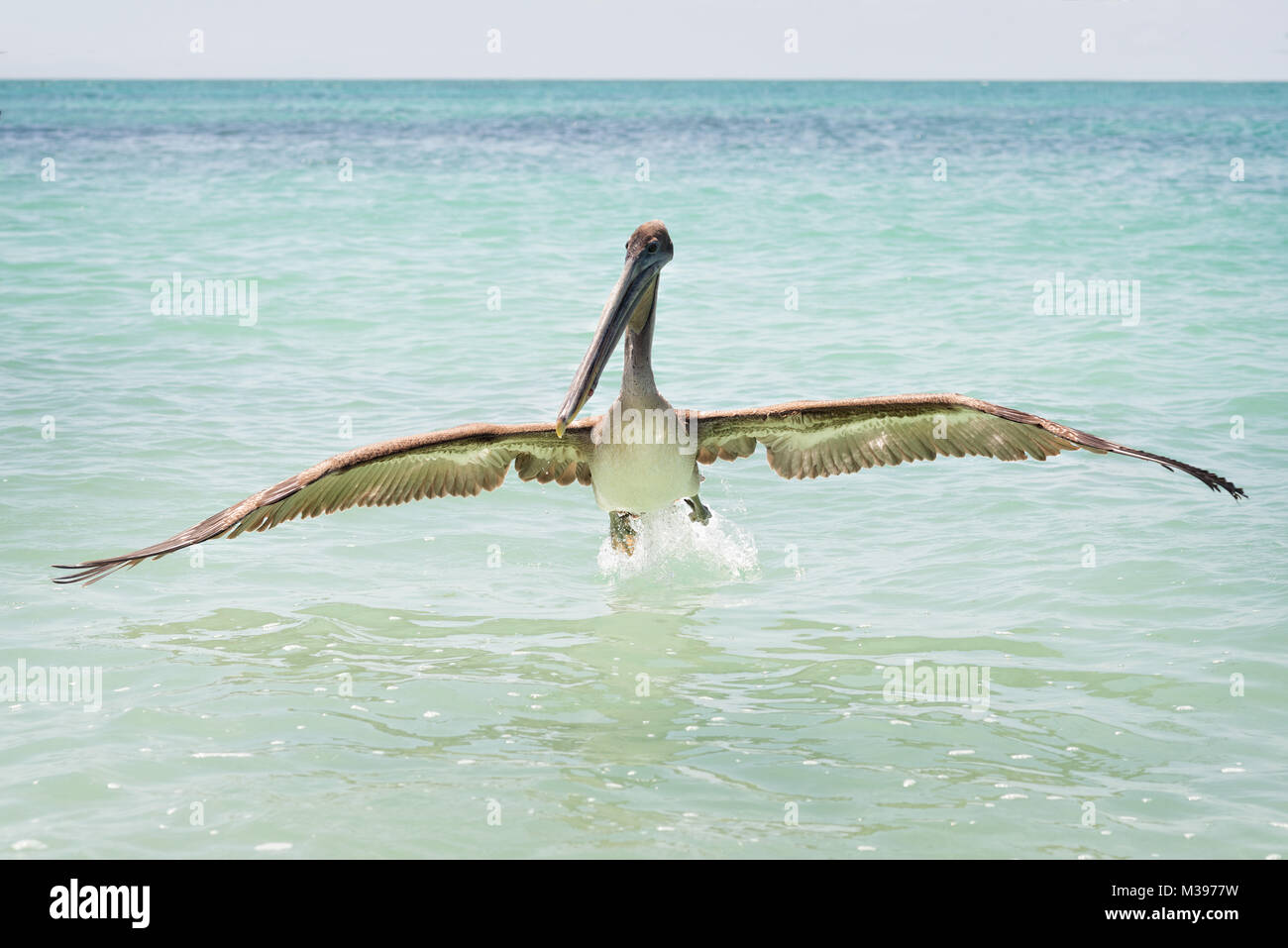 Îles Galápagos prises en 2015 Banque D'Images