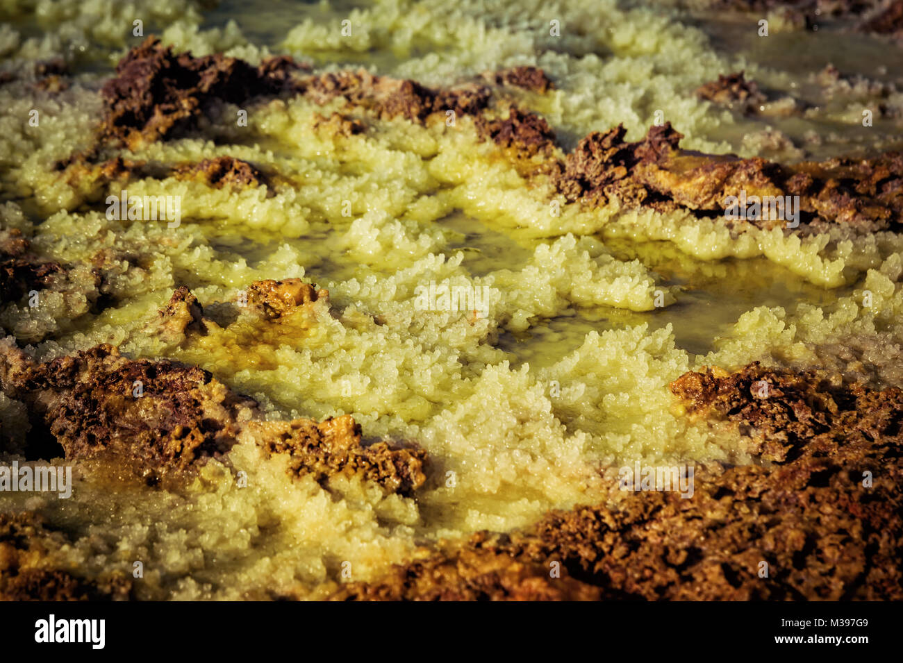 La dépression Danakil, Dallol (Ethiopie). Le meilleur endroit sur terre. prises en 2015 Banque D'Images