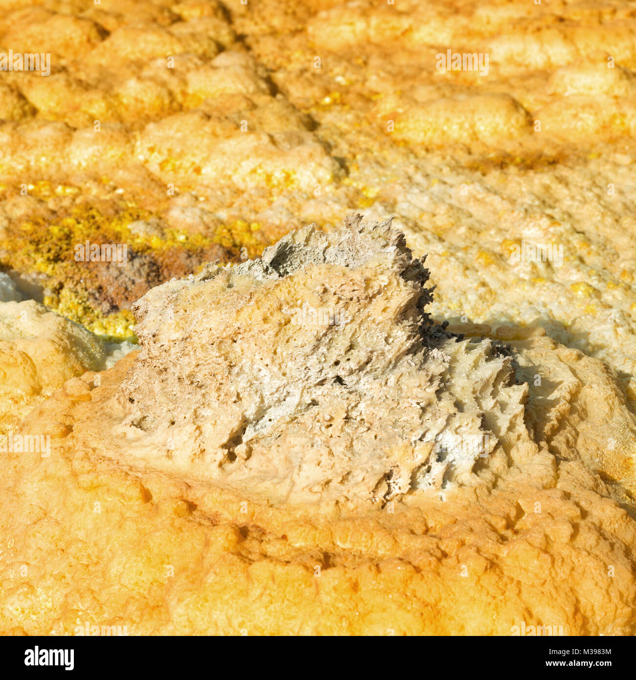 La dépression Danakil, Dallol (Ethiopie). Le meilleur endroit sur terre. prises en 2015 Banque D'Images