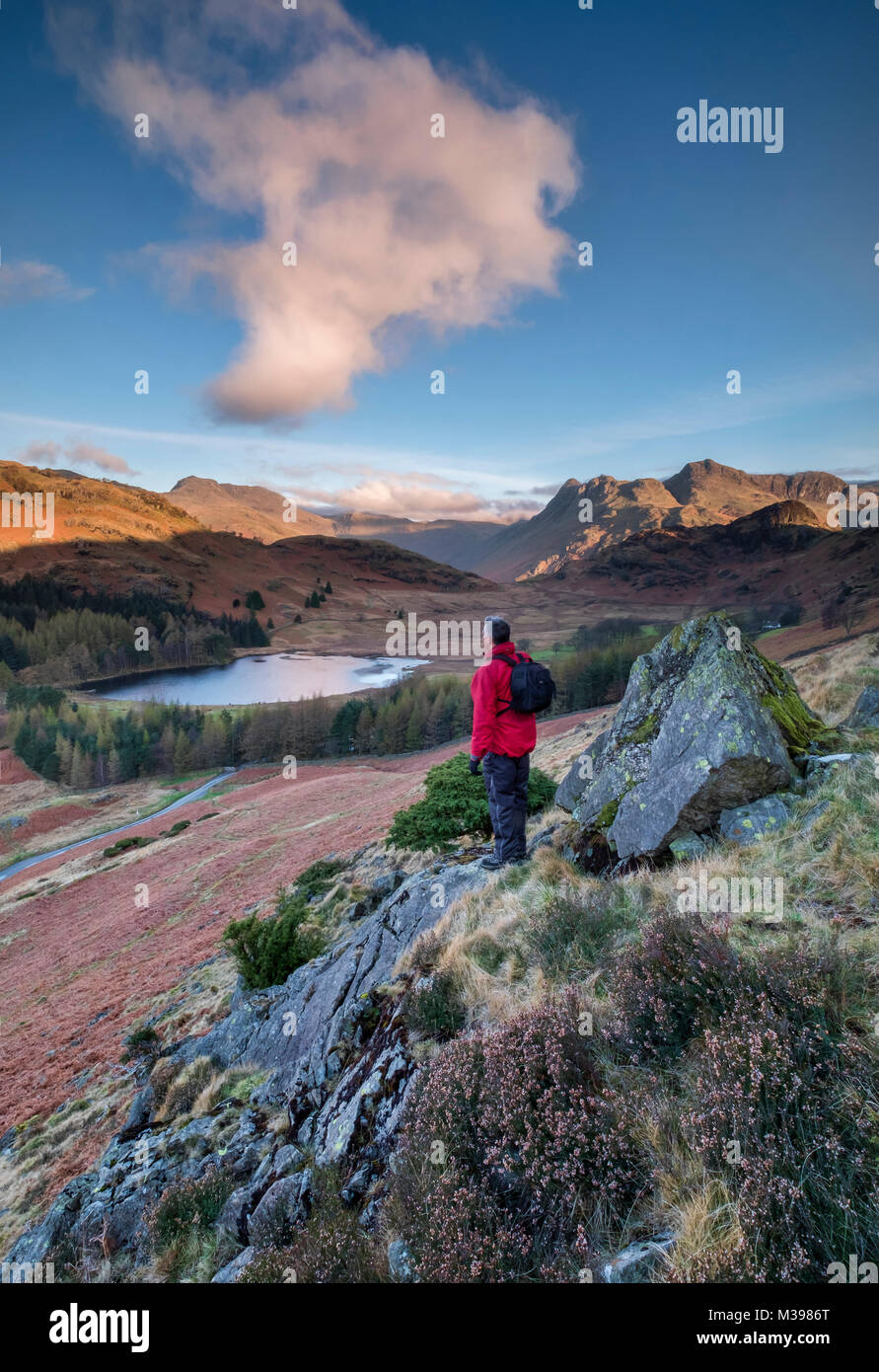 Walker surplombant Blea Tarn au lever du soleil, peu de Langdale, Parc National de Lake District, Cumbria, Angleterre PARUTION MODÈLE Banque D'Images