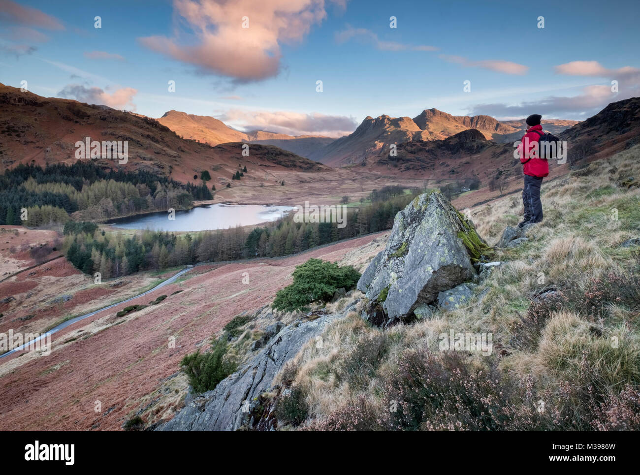Walker surplombant Blea Tarn et le Langdale Pikes au lever du soleil, peu de Langdale, Parc National de Lake District, Cumbria, England, UK Banque D'Images