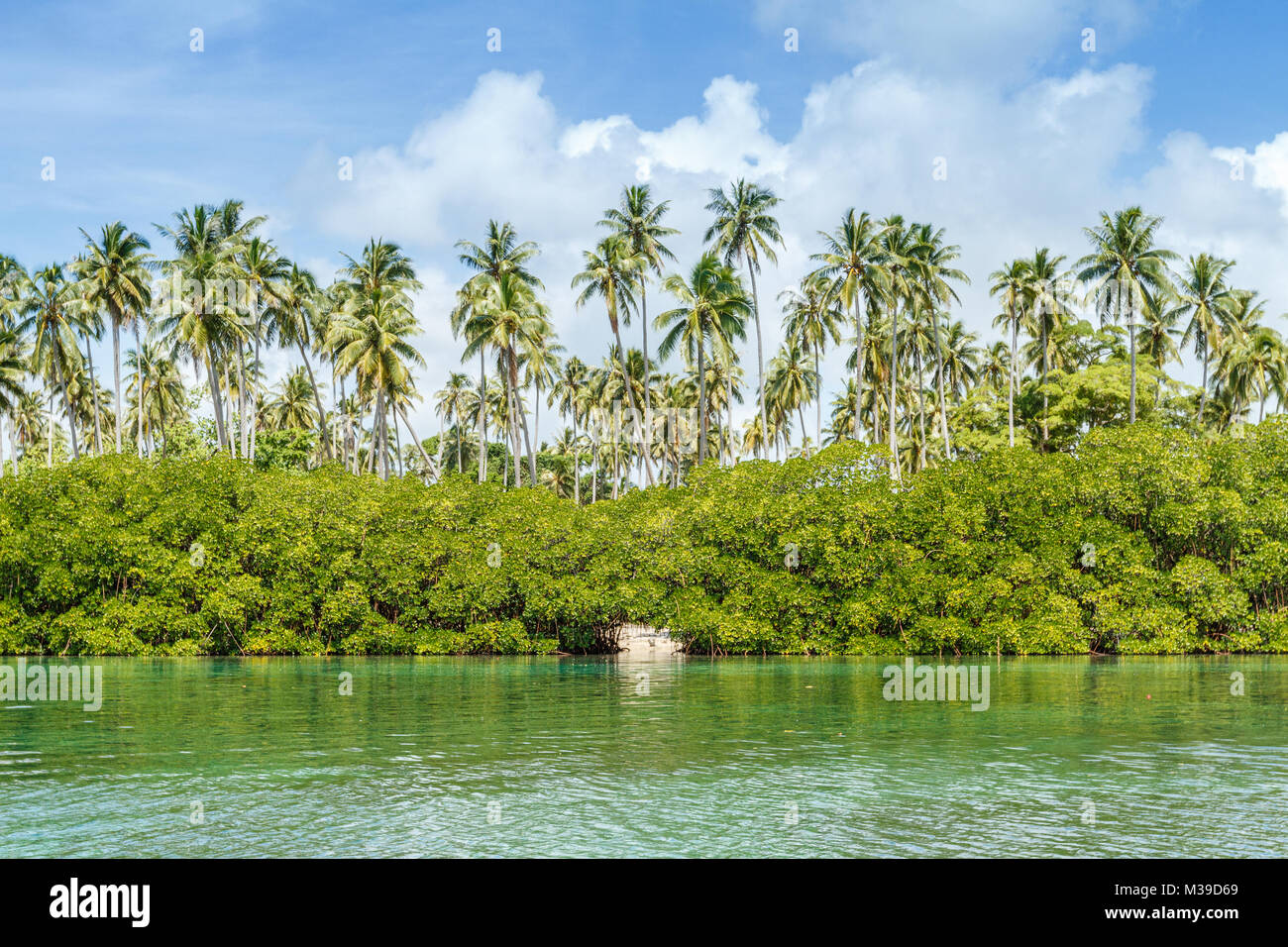 Palmiers de Ratua Private Island, vue de l'eau. République de Vanuatu Banque D'Images