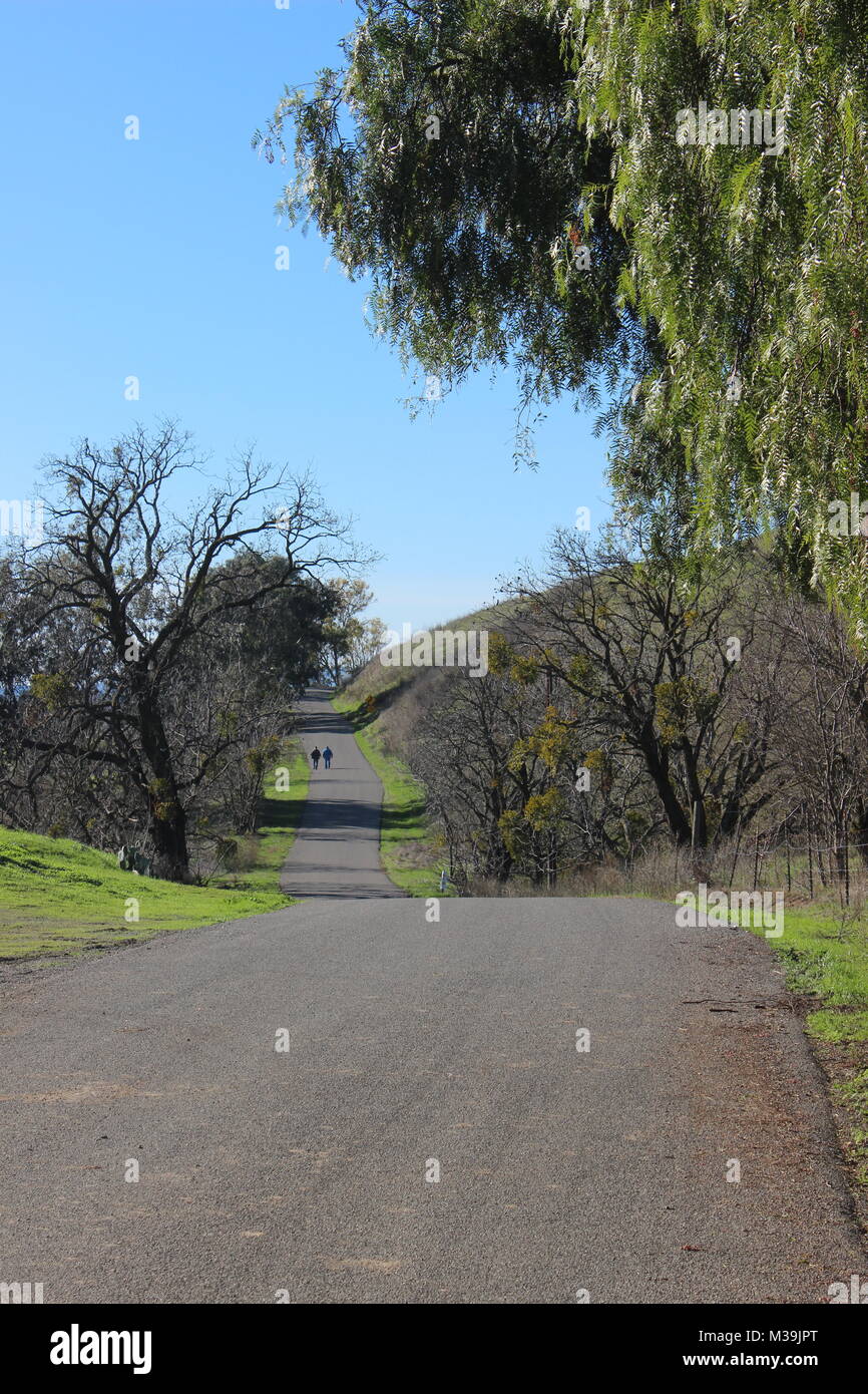 Oiseaux Oiseaux Landing Road, l'atterrissage, comté de Solano, en Californie Banque D'Images
