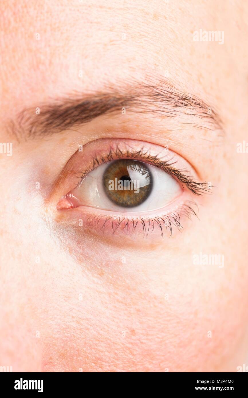 Parution du modèle. Close-up of young woman's Green Eye. Banque D'Images