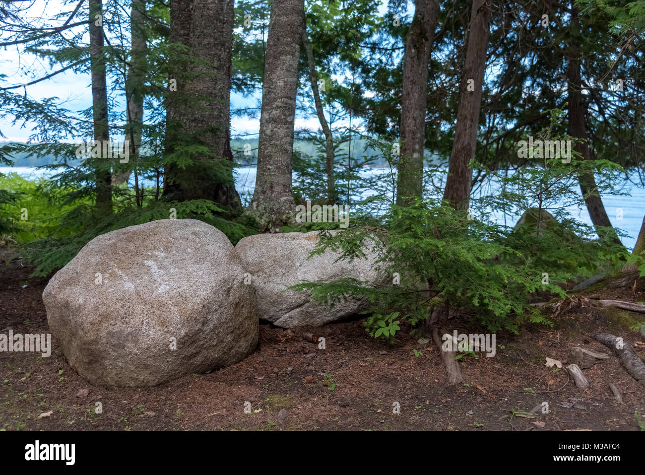 Scène tranquille près de l'eau qui inclut des rochers et une haie d'arbres. Cette photo a été prise à Sebec Lake, dans le Maine, alors que j'étais en vacances. Banque D'Images