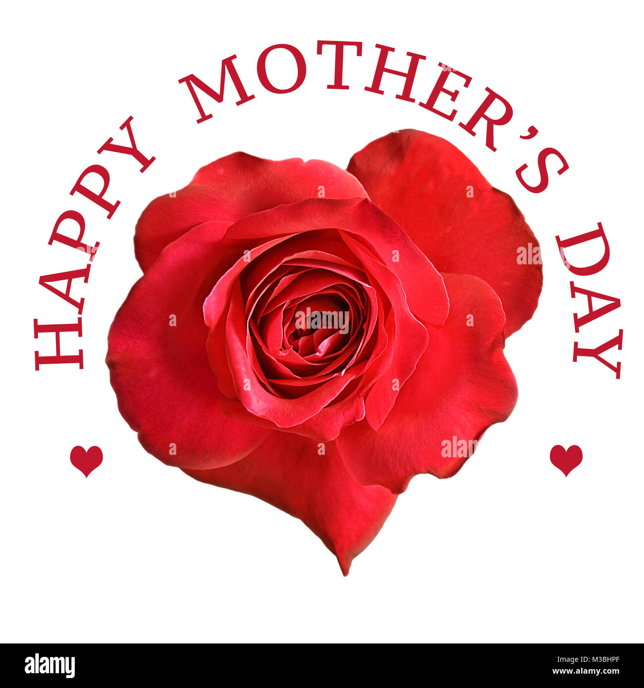 Message d'accueil de jour de mères avec rose rouge fleur sur fond blanc Banque D'Images
