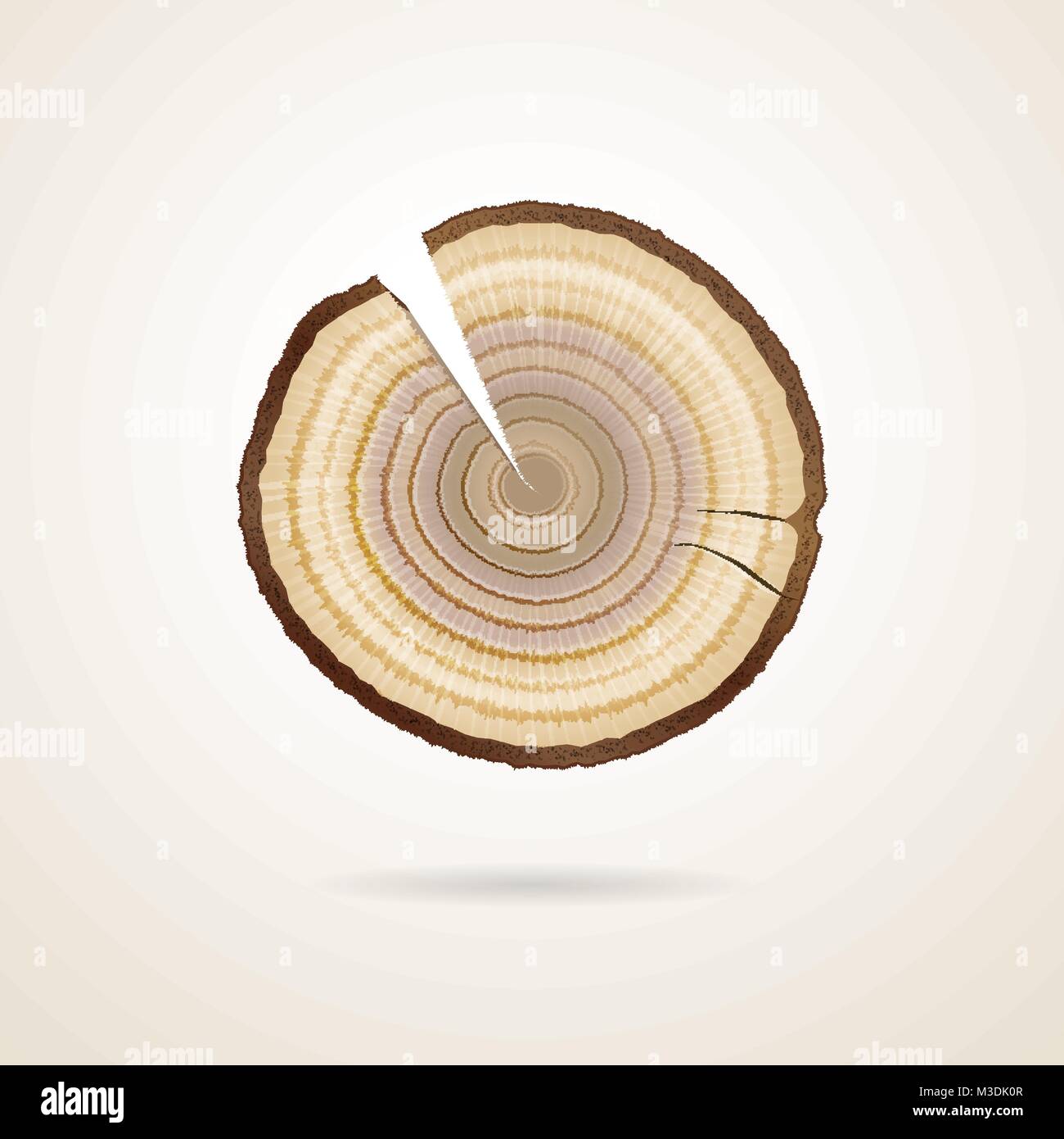 Les anneaux de croissance des arbres sur un tronc d'arbre sciage à façon Illustration de Vecteur