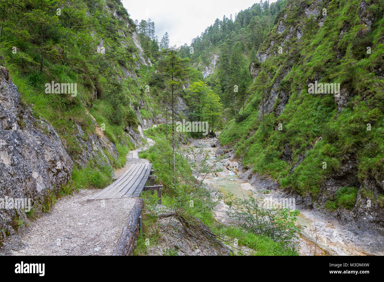 Gorge avec torrent et un chemin de randonnée près de Berchtesgaden en Allemagne Banque D'Images