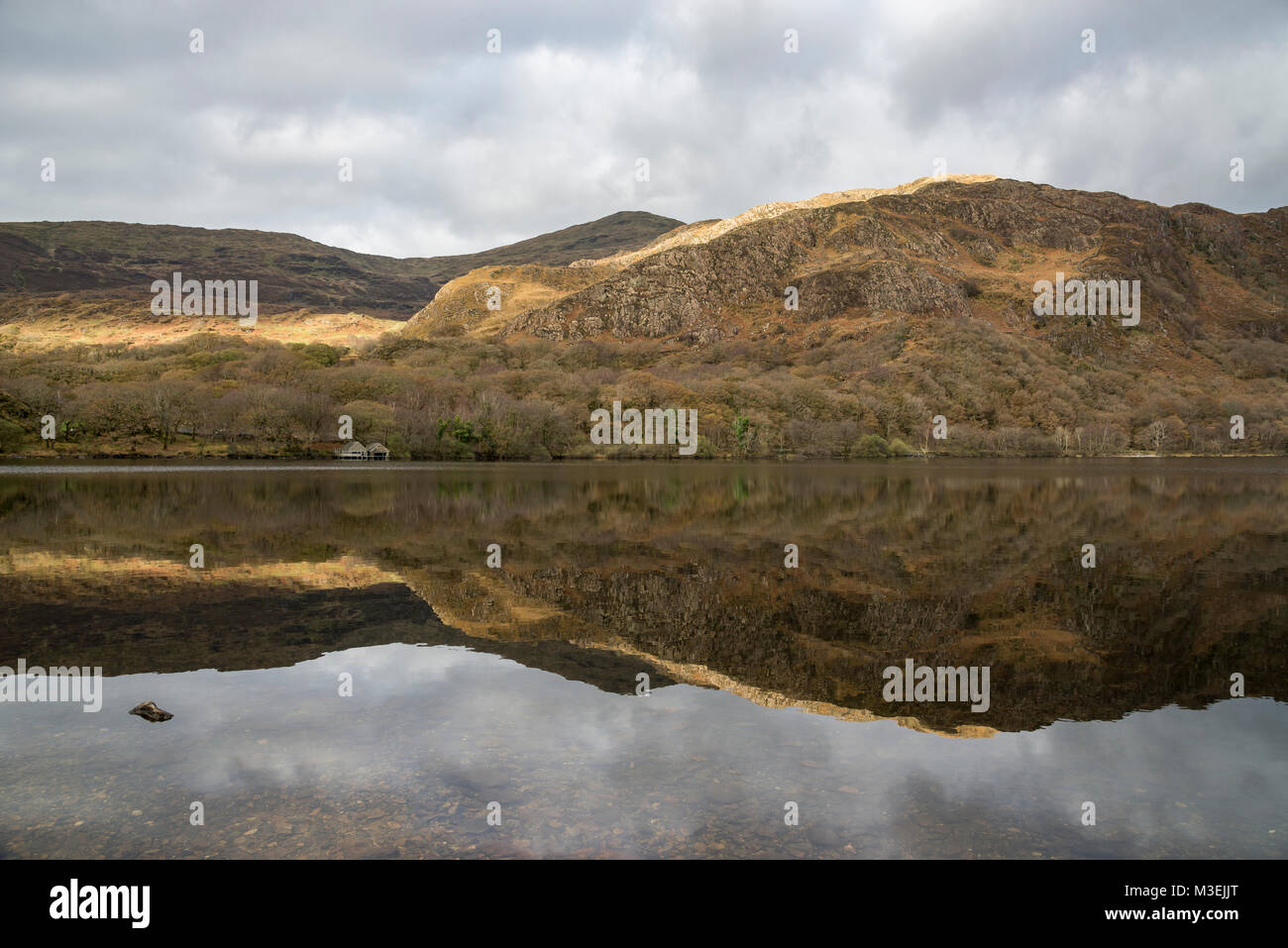 Llyn Dinas en automne, parc national de Snowdonia, le Nord du Pays de Galles. Banque D'Images