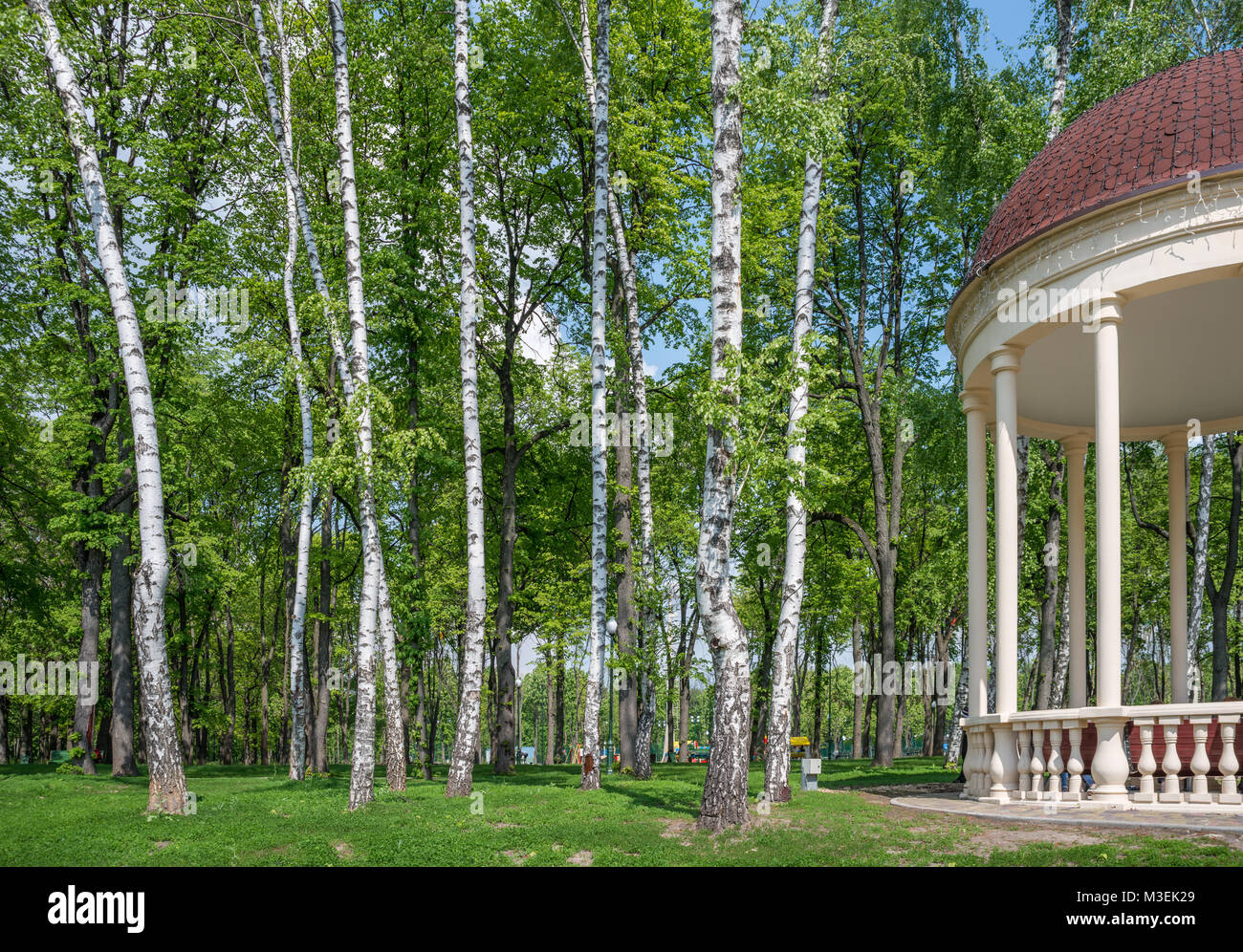 Belle forêt ukrainienne avec un kiosque sur la droite Banque D'Images