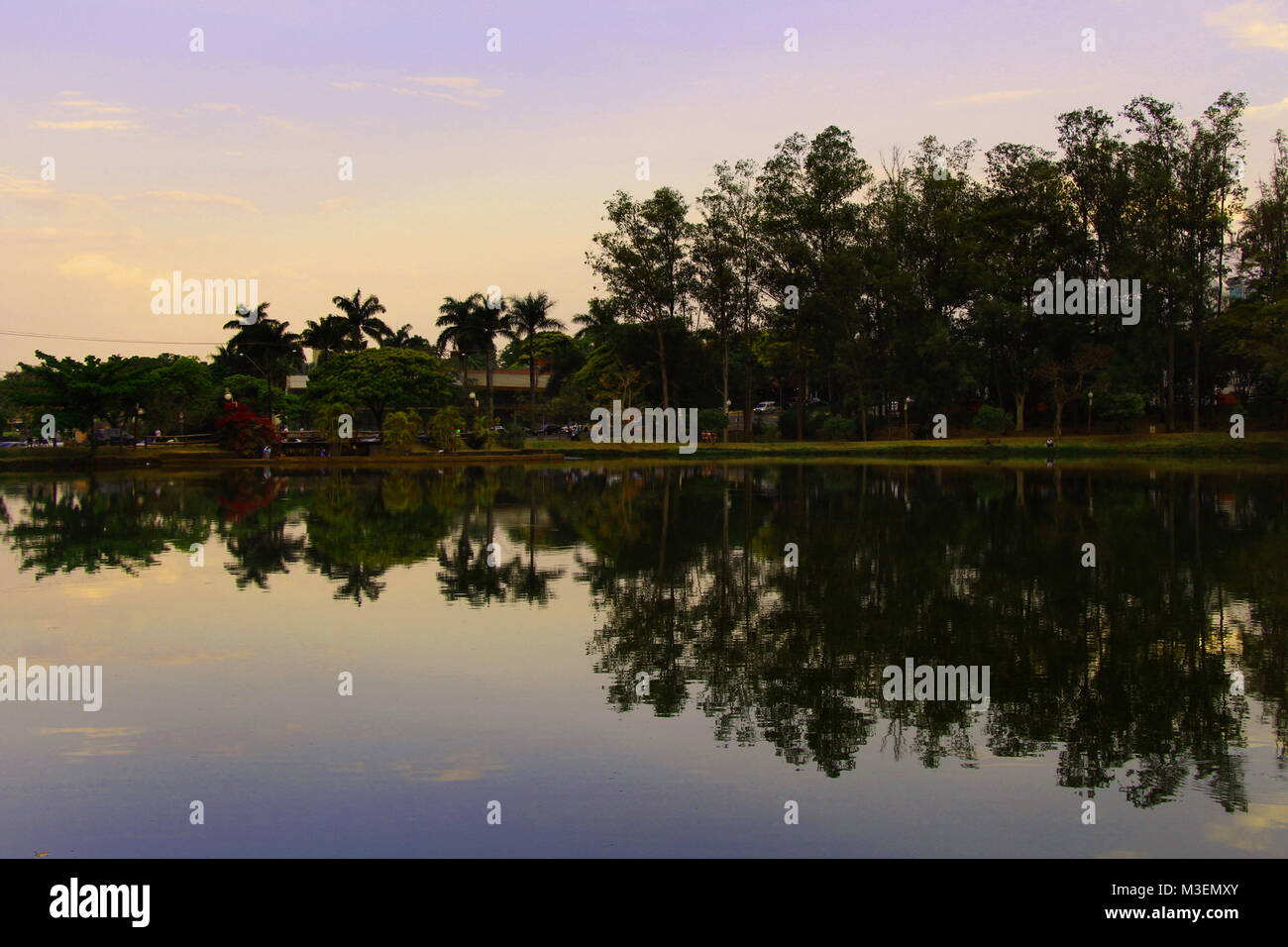 Le lac Miroir réflexion sur l'eau arbres sur fond nature riverside Banque D'Images