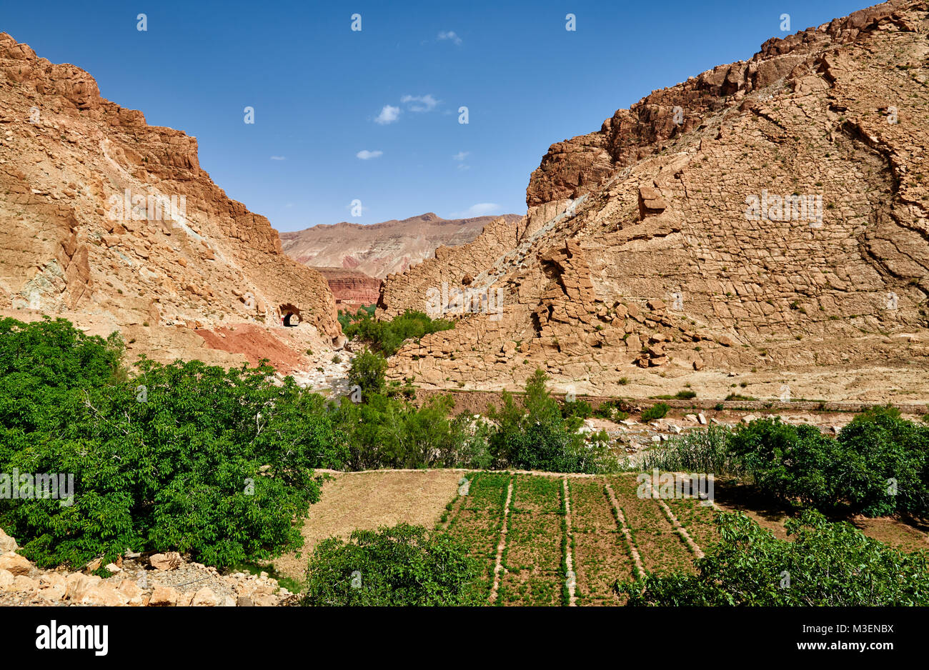 Paysage de montagne dans la vallée des roses ou rose valley, ElKelâa M'Gouna, Maroc, Afrique