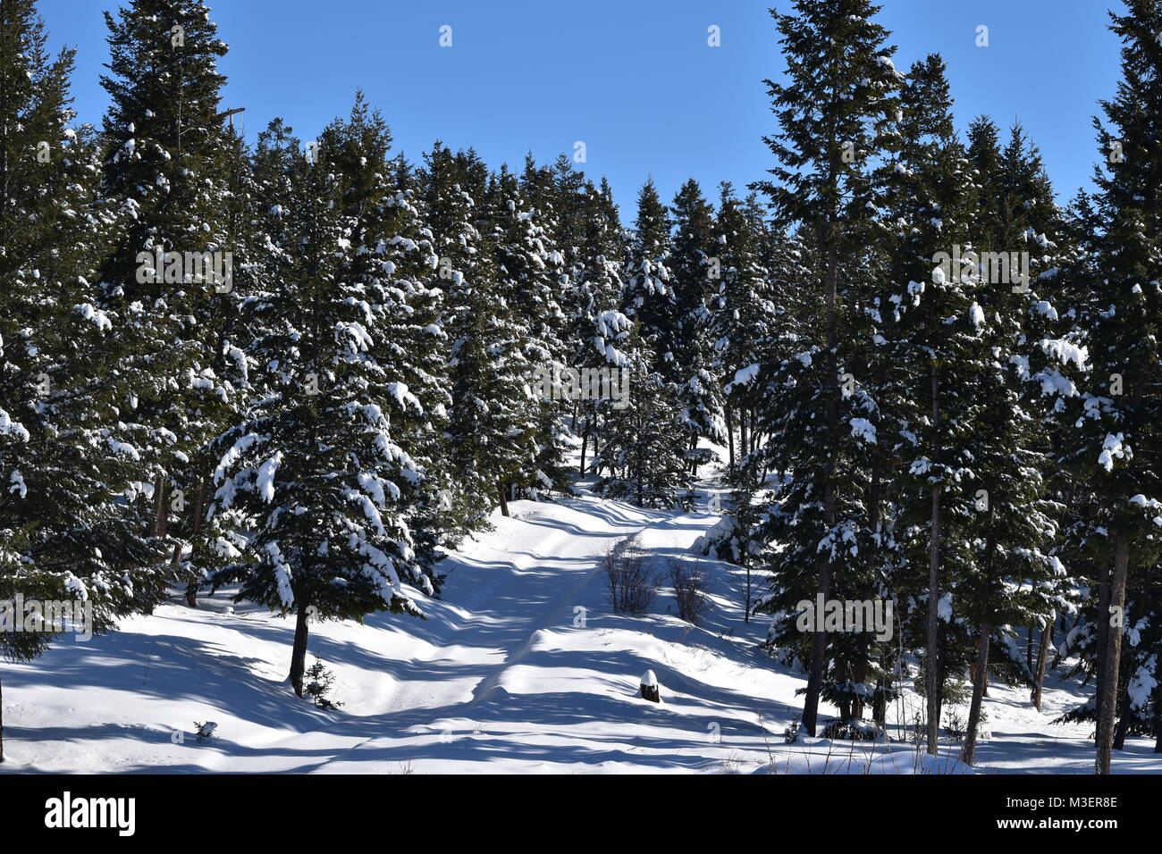 Scène d'hiver sur une belle journée ensoleillée. Prise le 10 février 2018 à 2:25 PM. Banque D'Images