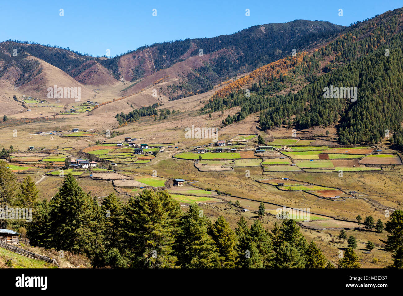 Le Bhoutan, Phobjikha. Scènes de la vallée, les terres agricoles et les établissements humains. Banque D'Images