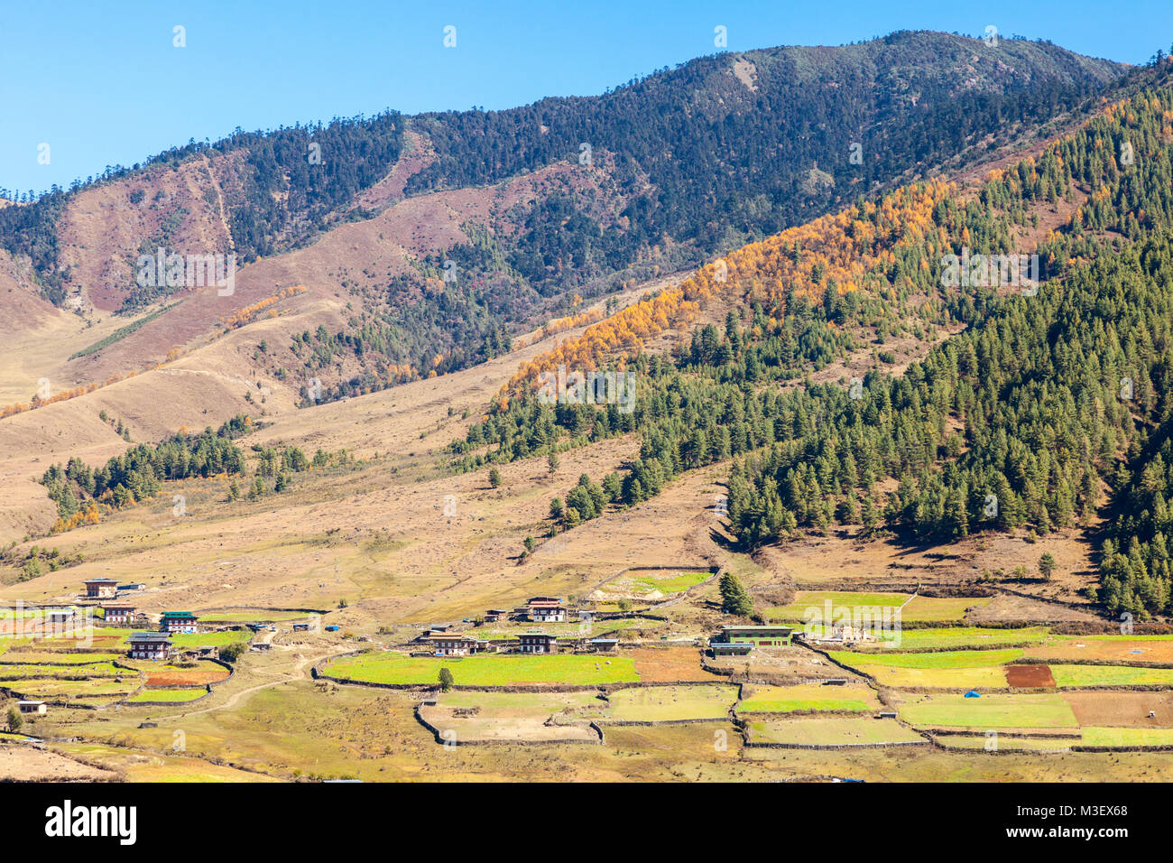 Le Bhoutan, Phobjikha. Scènes de la vallée, les terres agricoles et les établissements humains. Banque D'Images