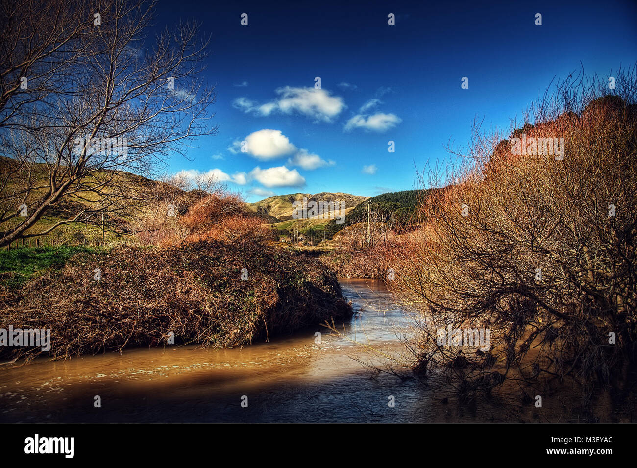 Makara Beach New Zealand prises en 2015 Banque D'Images