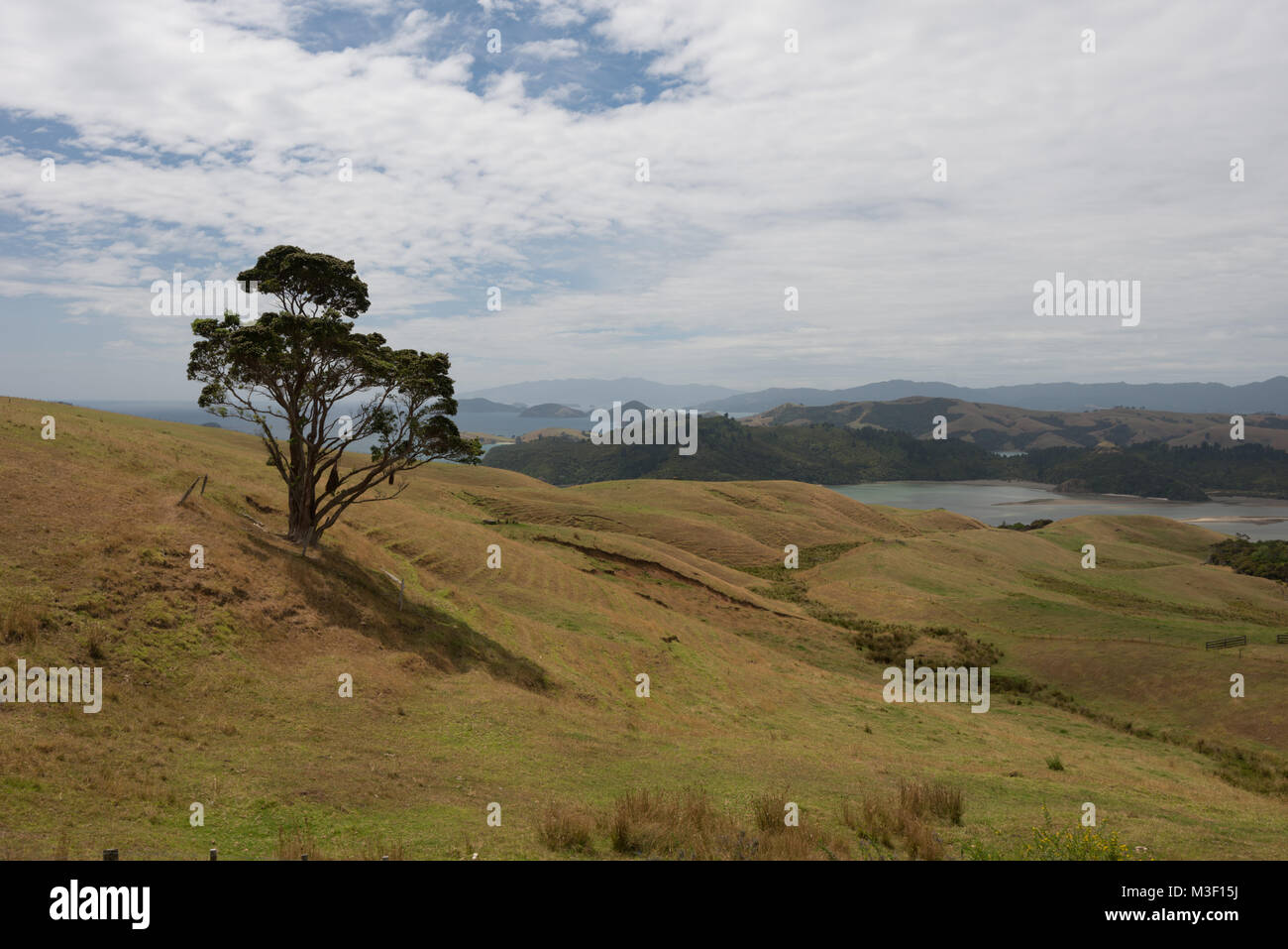 Domaine Mt Eden Auckland Skyline prises en 2015 Banque D'Images
