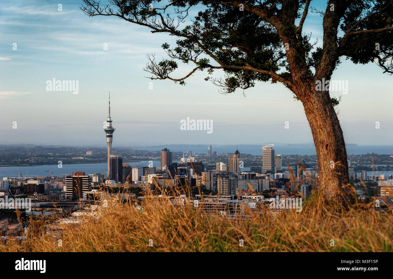 Sur le mont Eden Auckland prises en 2015 Banque D'Images
