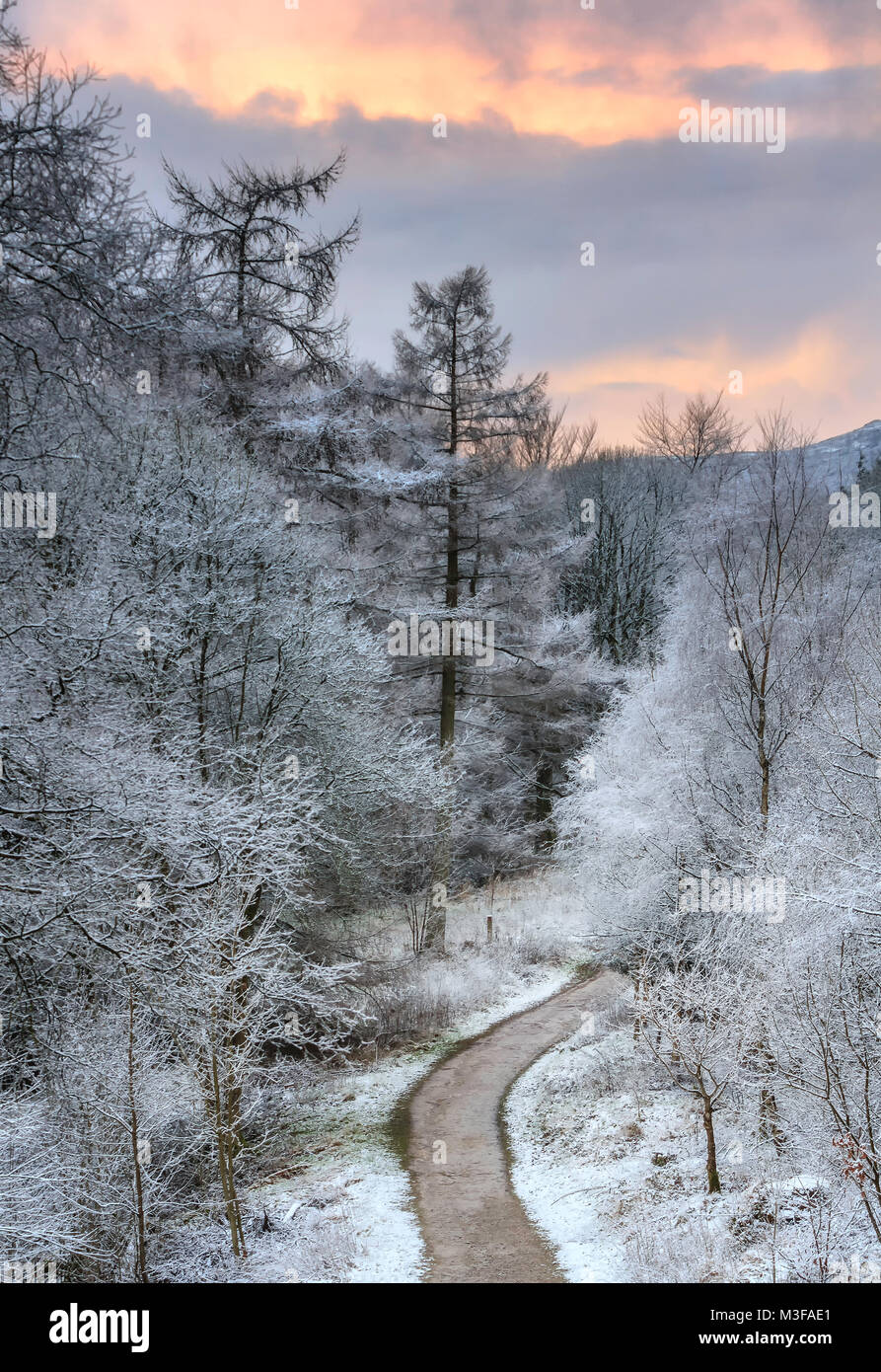 Macclesfield forest avec une fine couche de neige fraîchement tombée Banque D'Images