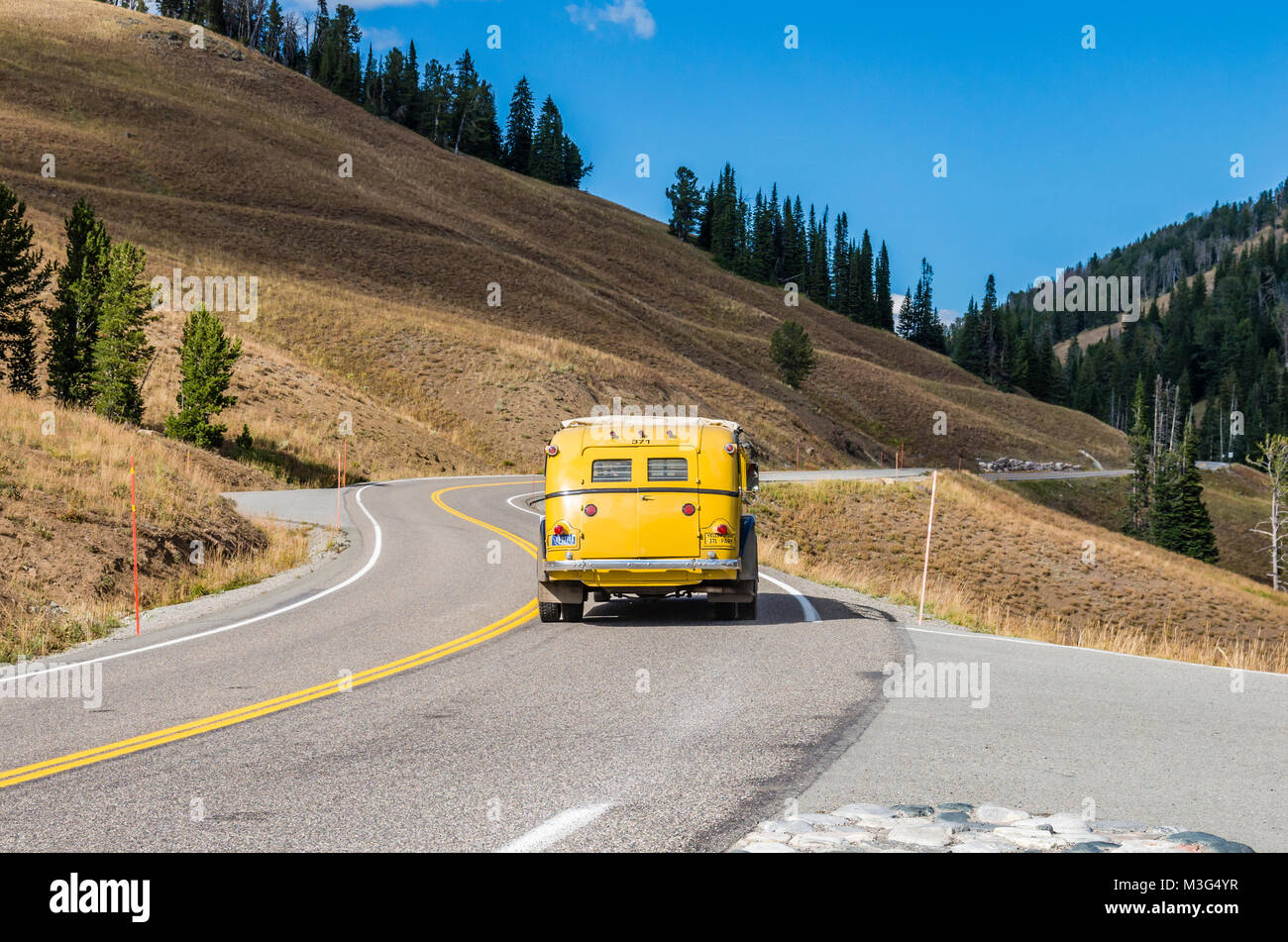 Un classique parmi les bus de Yellowstone près de Dunraven Pass. Le Parc National de Yellowstone, Wyoming, USA Banque D'Images