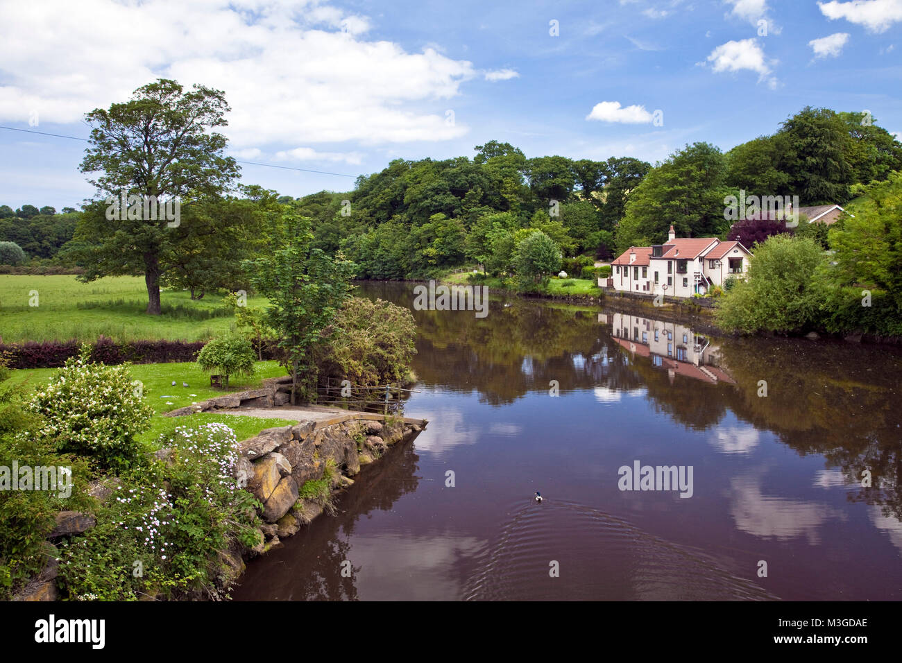 Rivière Esk à Ruswarp North York Moors, North Yorkshire, Angleterre, Royaume-Uni Banque D'Images