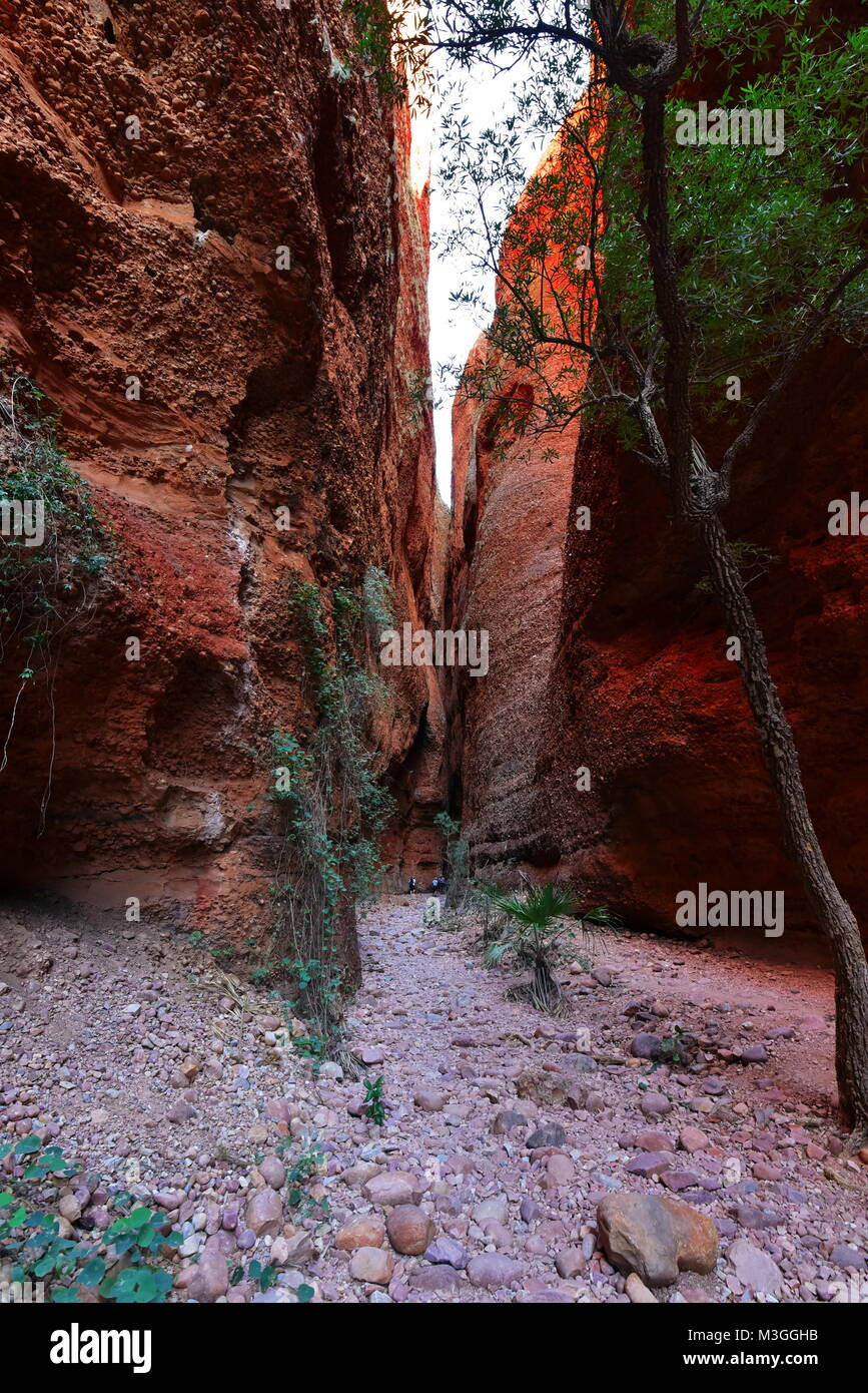 Echidna Chasm,marche ,l'ouest de l'Australie Bungle Bungle Banque D'Images