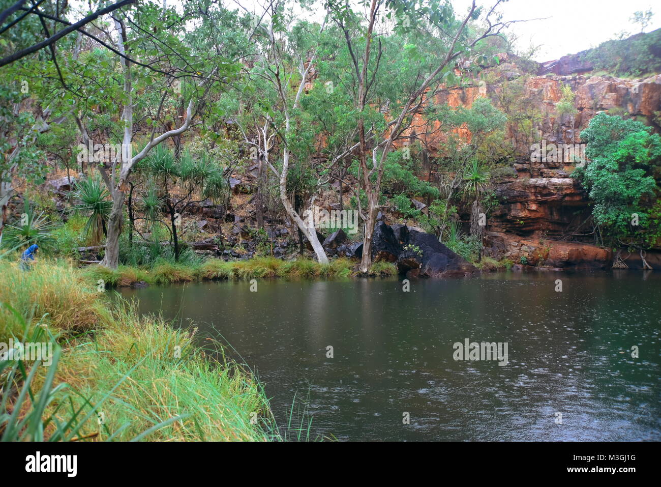 De magnifiques Gorges Galvans sur la Gibb River Road en Australie de l'Ouest Région de Kimberly Banque D'Images