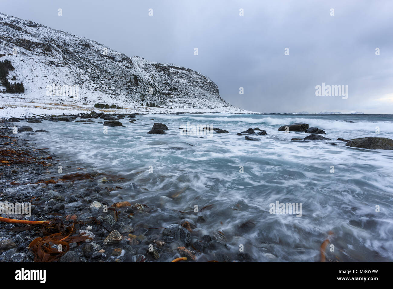 Côte Rocheuse à Alnes, petit village sur le Godoya île près de Alesund. Paysage d'hiver. La Norvège. Banque D'Images