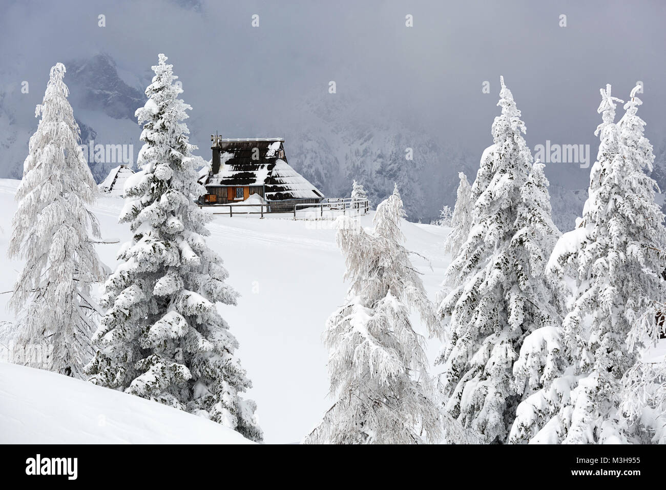 Chalet idyllique ancienne en bois recouvert de neige dans le paysage de montagne de Velika planina, la Slovénie. Banque D'Images