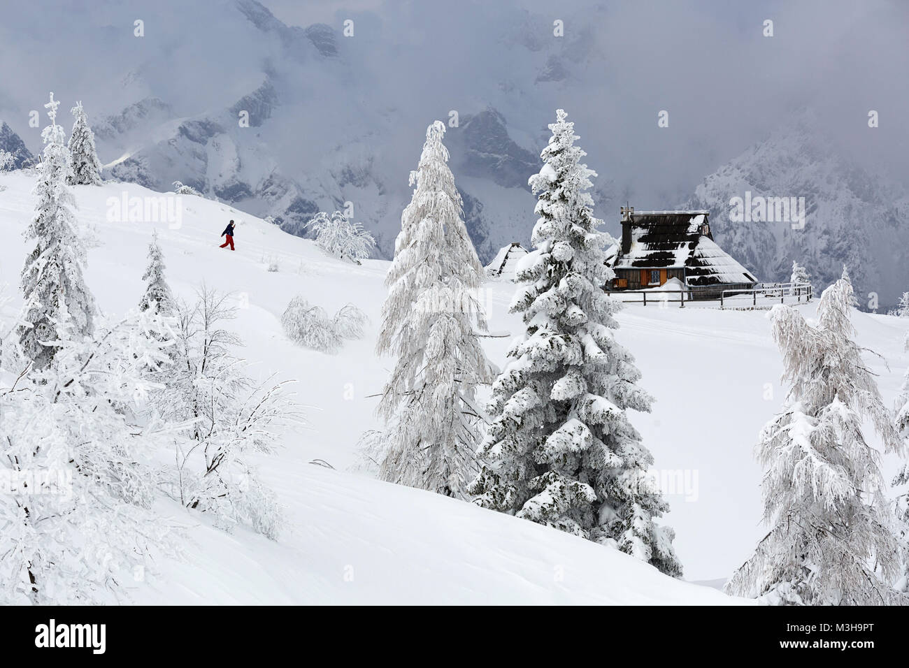 Randonnée randonneur solitaire à un chalet sur une montagne couverte de neige, Velika planina, la Slovénie. Banque D'Images