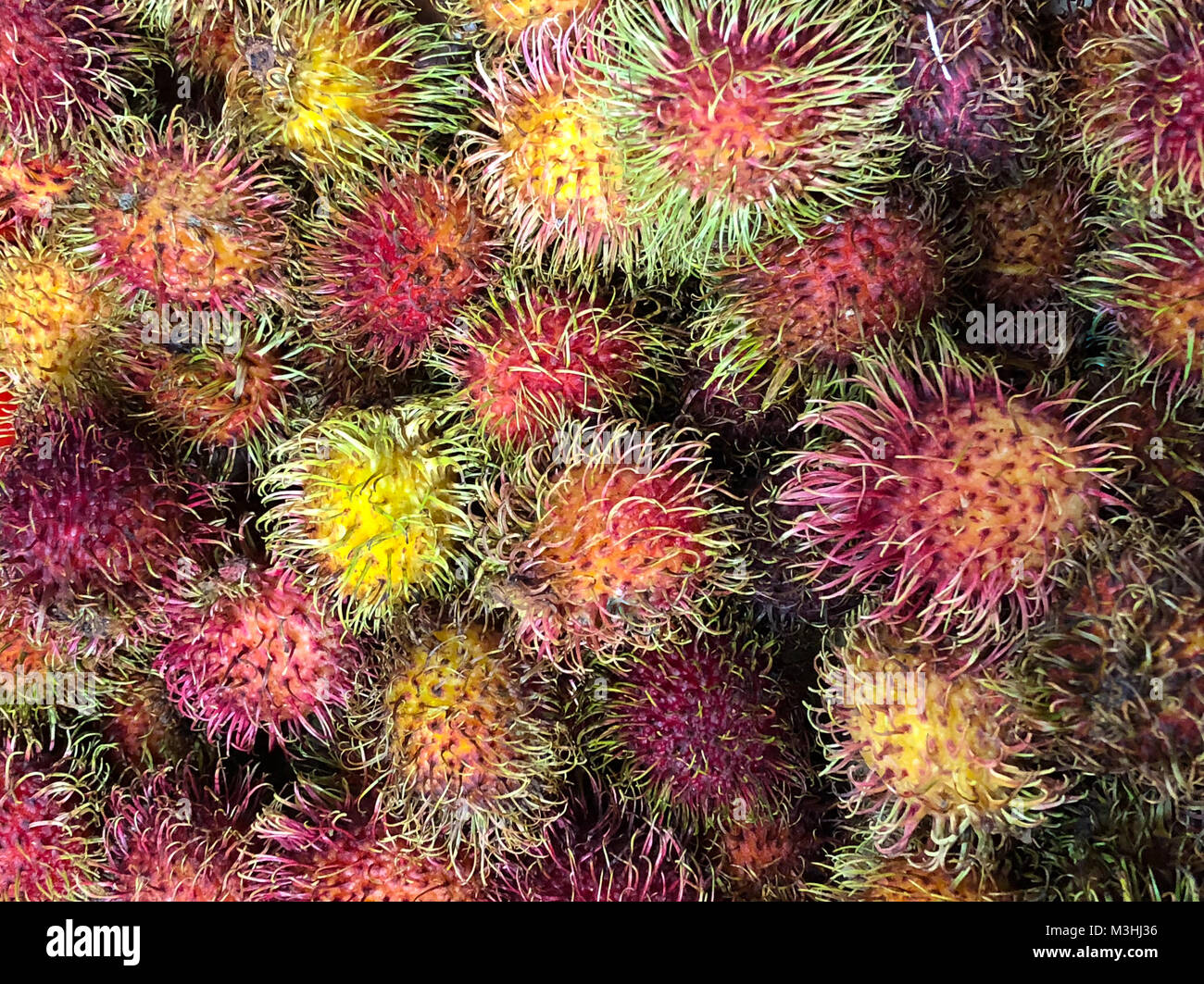 Un grand groupe de fruits ramboutan colorée remplit l'image de fond d'image. Banque D'Images