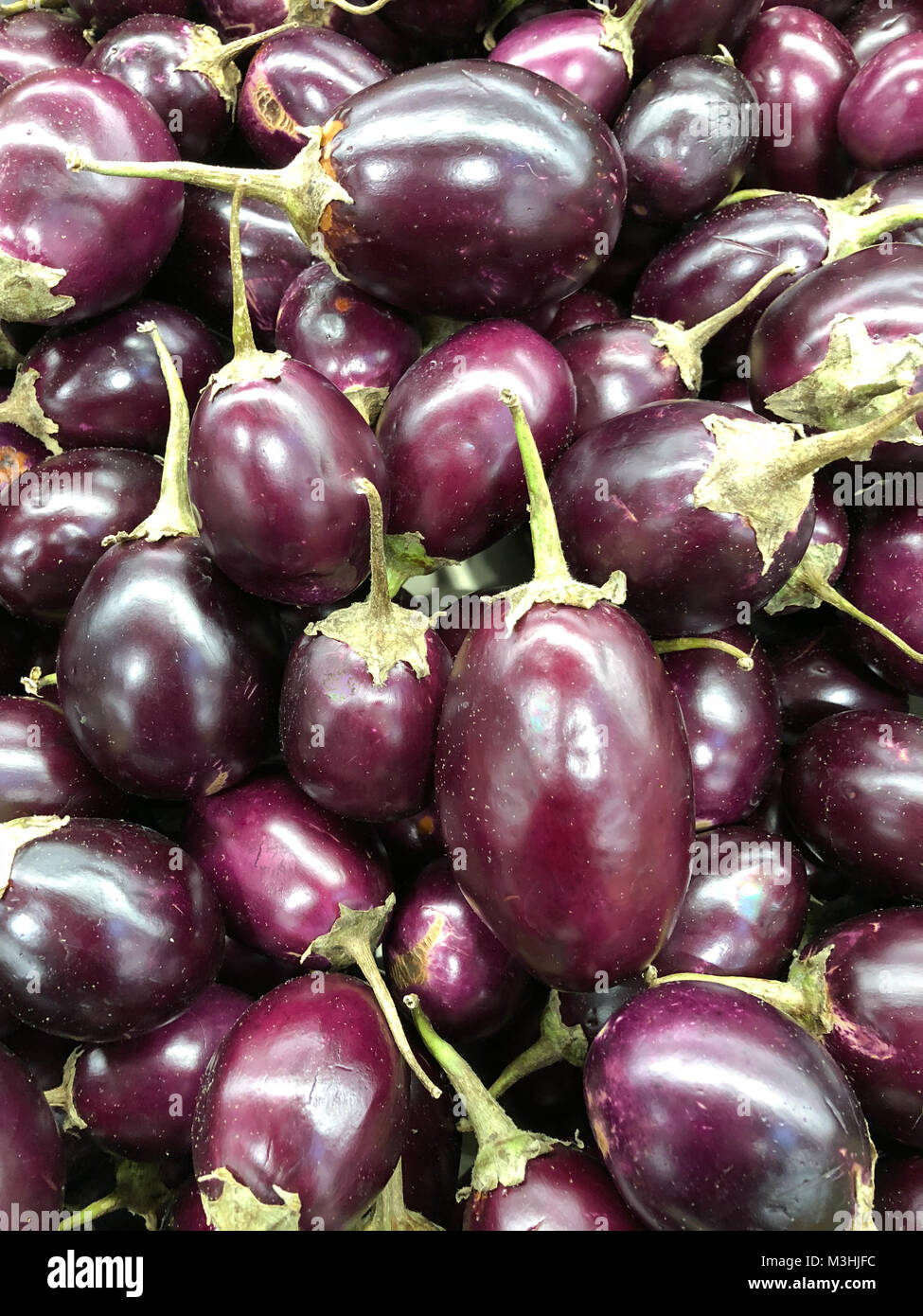 Un gros tas d'aubergines indiennes Banque D'Images