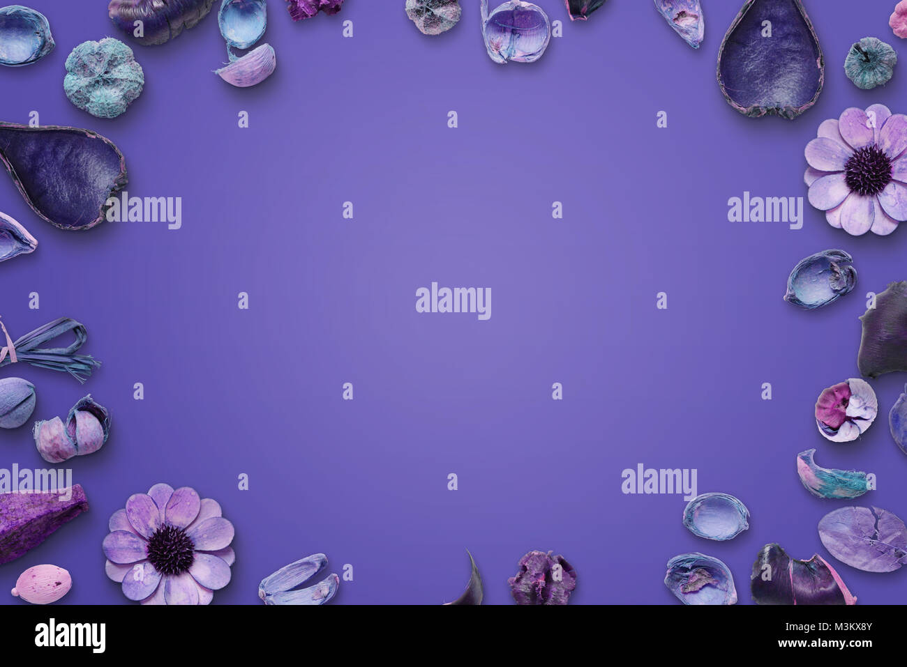 Fleur fond violet. Espace libre au milieu pour le texte. Banque D'Images