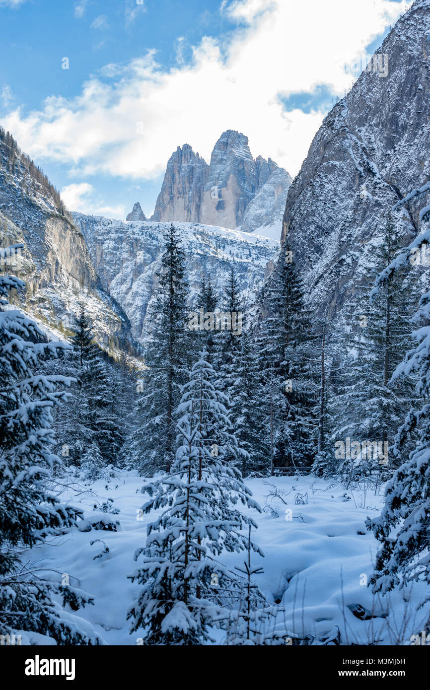 Tre Cime di Lavaredo, Alpes Dolomites, Italie Banque D'Images