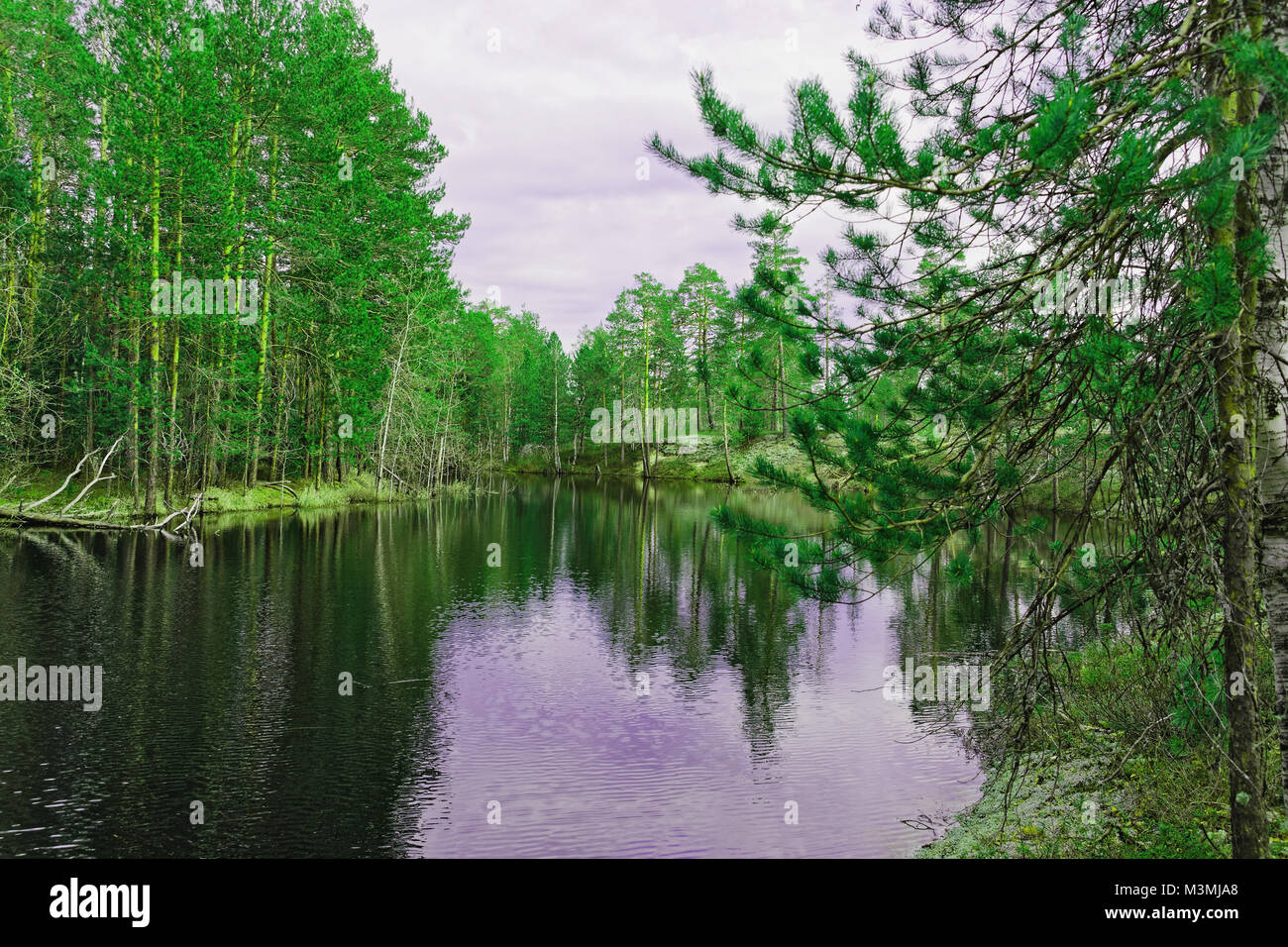 Vue sur les rives de la taïga sibérienne au cours de l'inondation de la rivière Banque D'Images