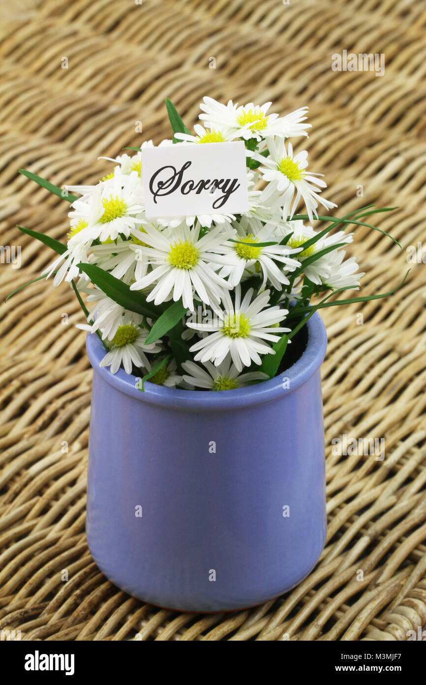 Désolés carte avec daisy fleurs dans vase bleu sur la surface en osier Banque D'Images