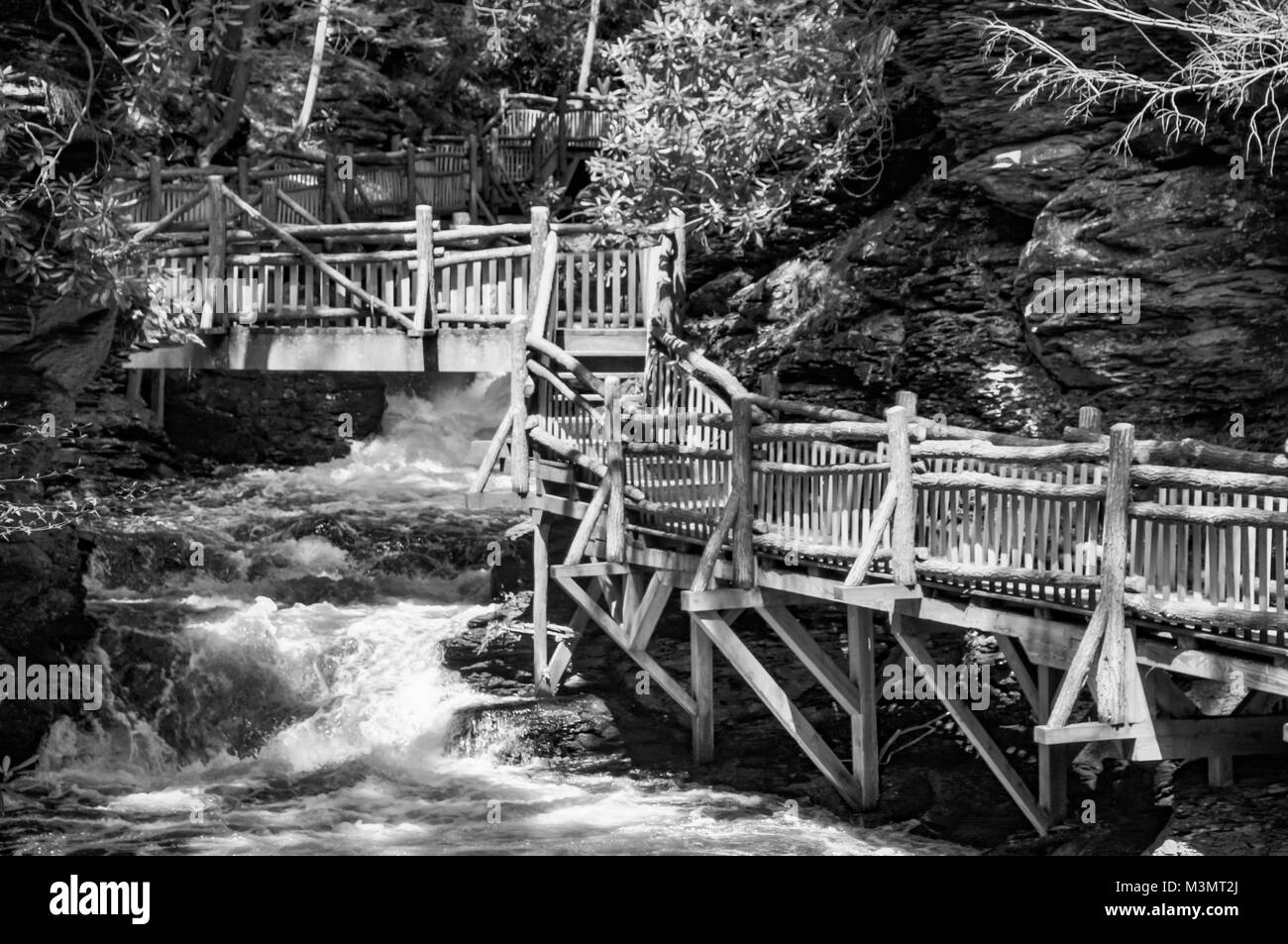 Passerelle en bois naturel et les escaliers plus de chutes d'eau dans la Pennsylvanie Poconos en noir et blanc Banque D'Images