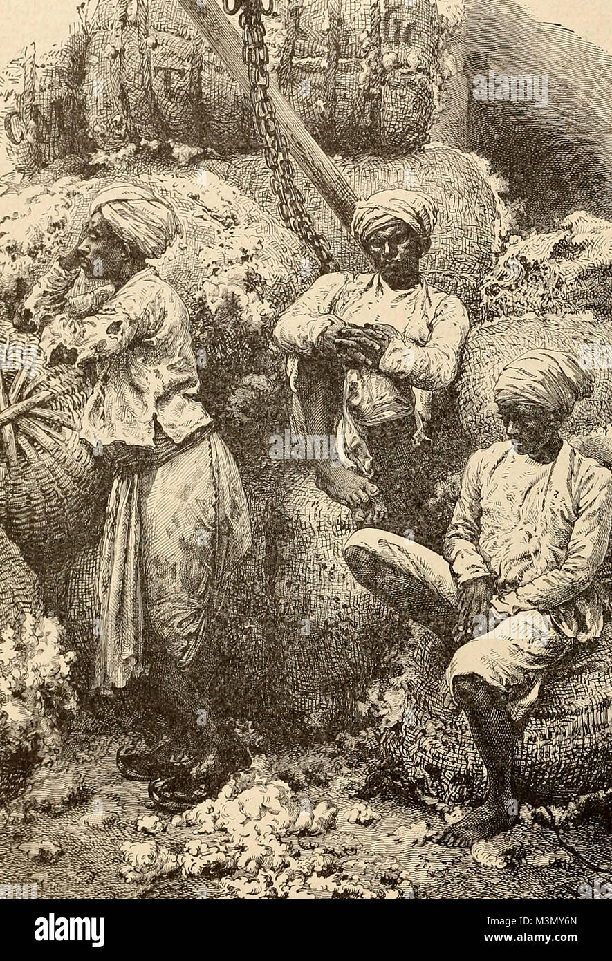 Coolies au marché du coton à Bombay, Inde Banque D'Images