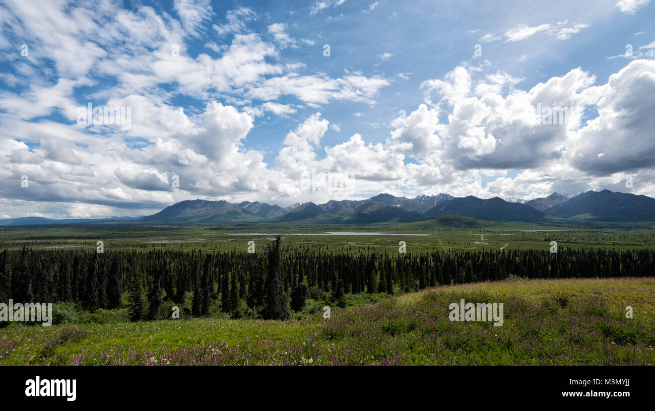 Alaska Glacier Matanuska Park prises en 2015 Banque D'Images