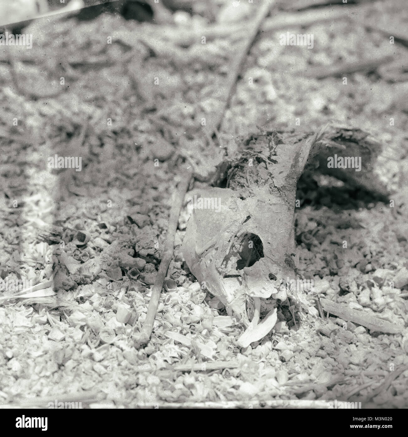 Salton Sea en Californie prises en 2015 Banque D'Images