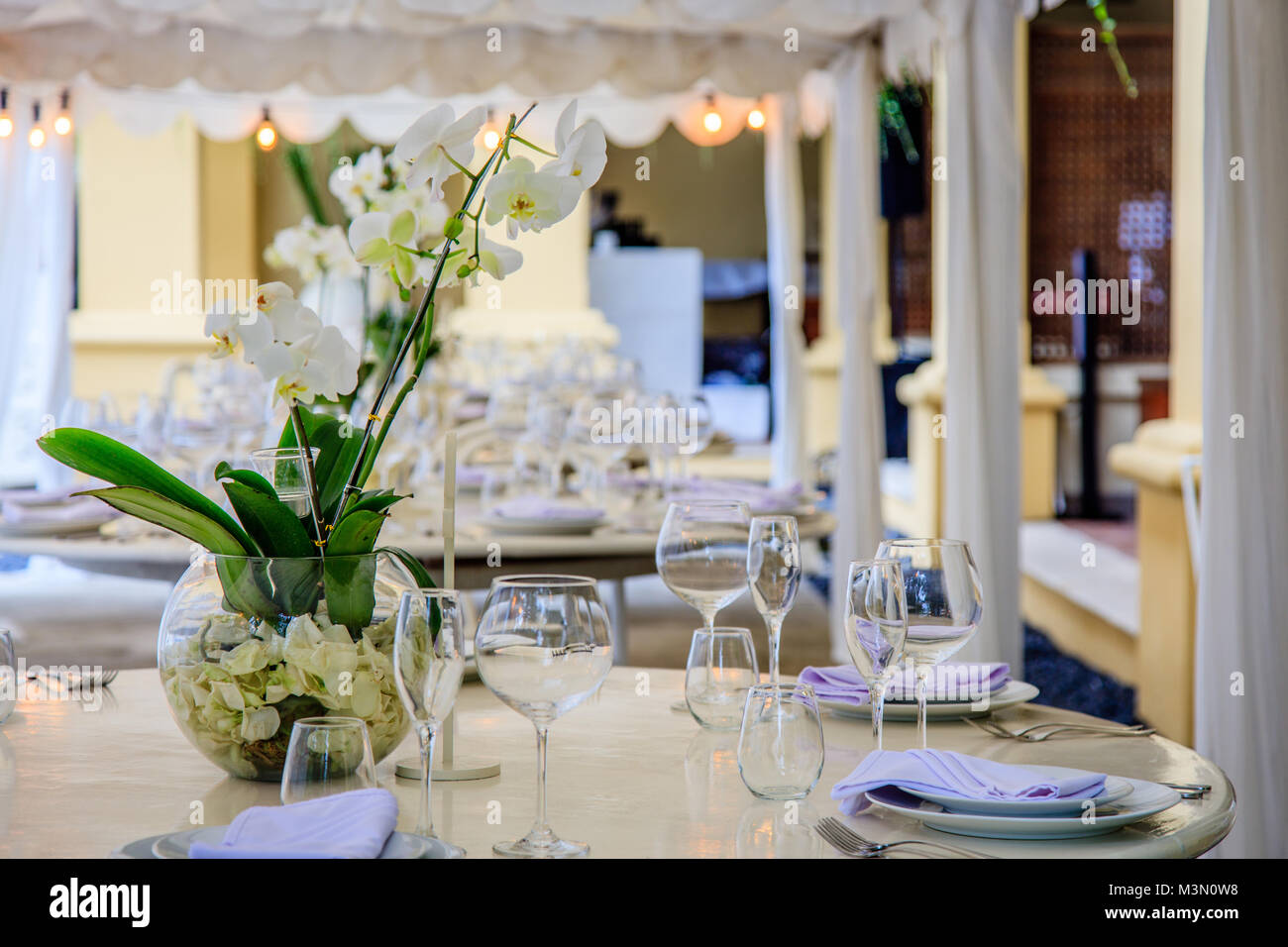 Définir des tables pour un dîner de mariage blanc décoré d'orchidées. Vases, verres, assiettes, serviettes, couverts. Banque D'Images