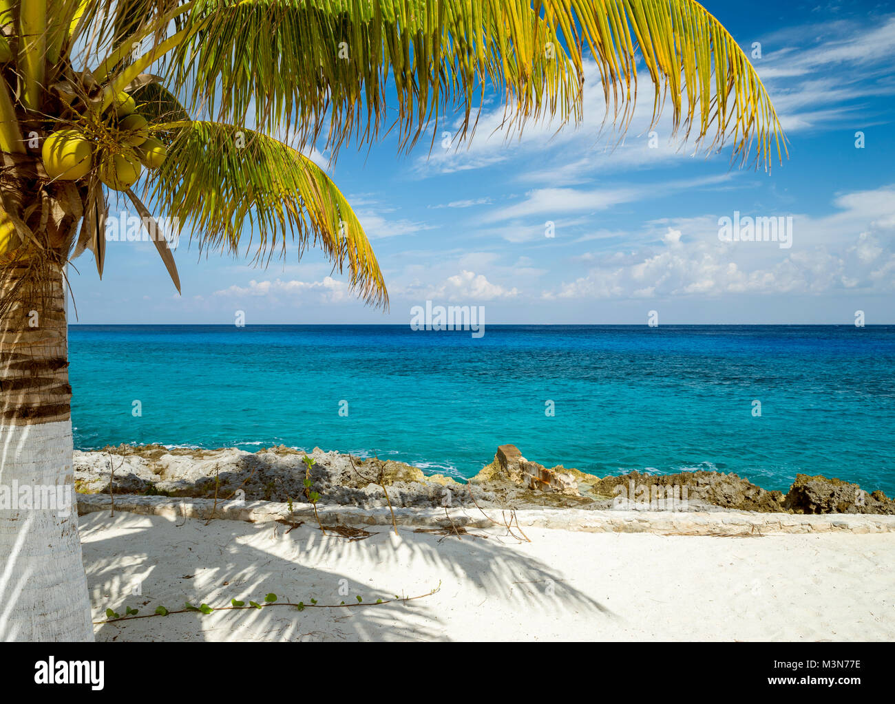 L'île de Cozumel au Mexique Banque D'Images