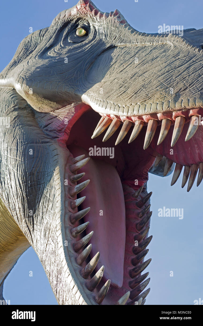 Allosaurus modèle de dinosaure dans un parc préhistorique Banque D'Images
