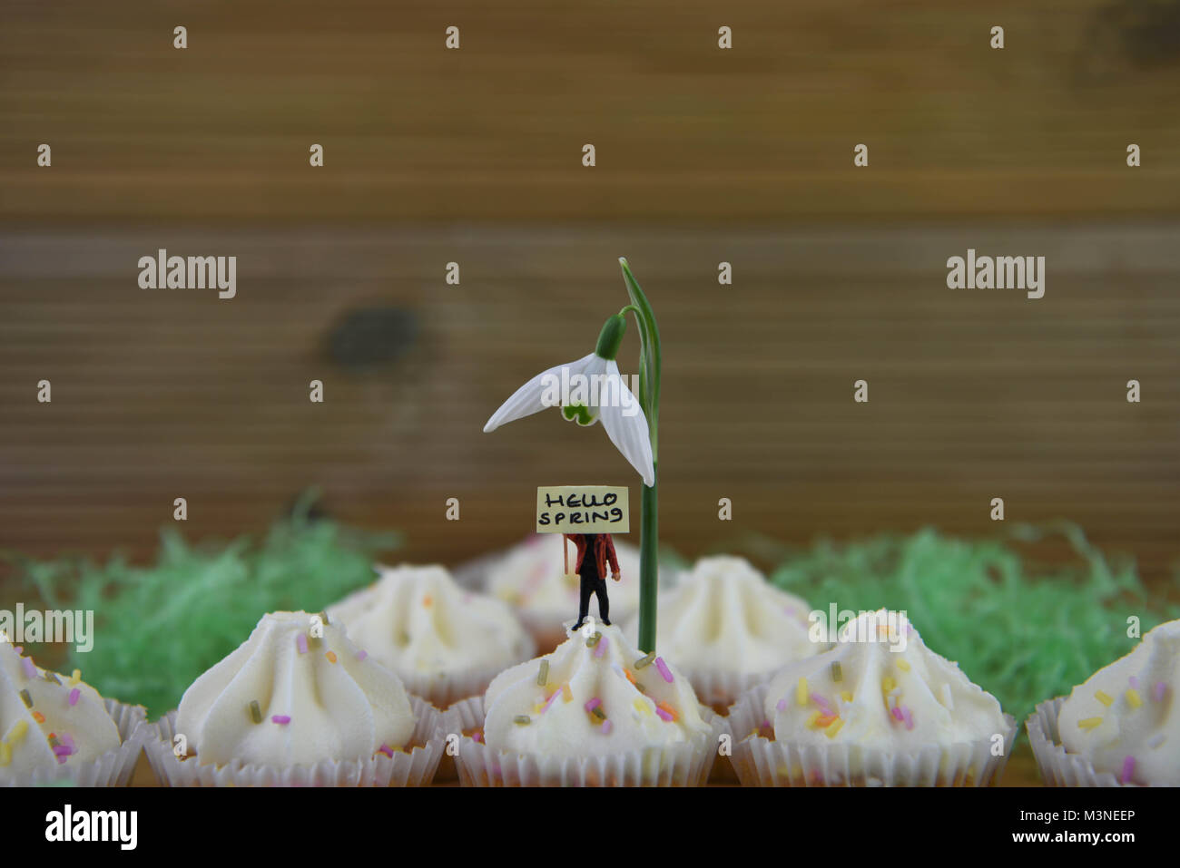 Perce-neige fraîche de printemps sur cupcakes avec jolies personne du prince avec un panneau pour Bonjour printemps Banque D'Images