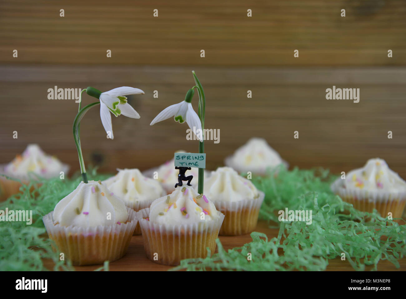 Perce-neige fraîche de printemps sur cupcakes avec jolies personne du prince avec un panneau pour Bonjour printemps Banque D'Images
